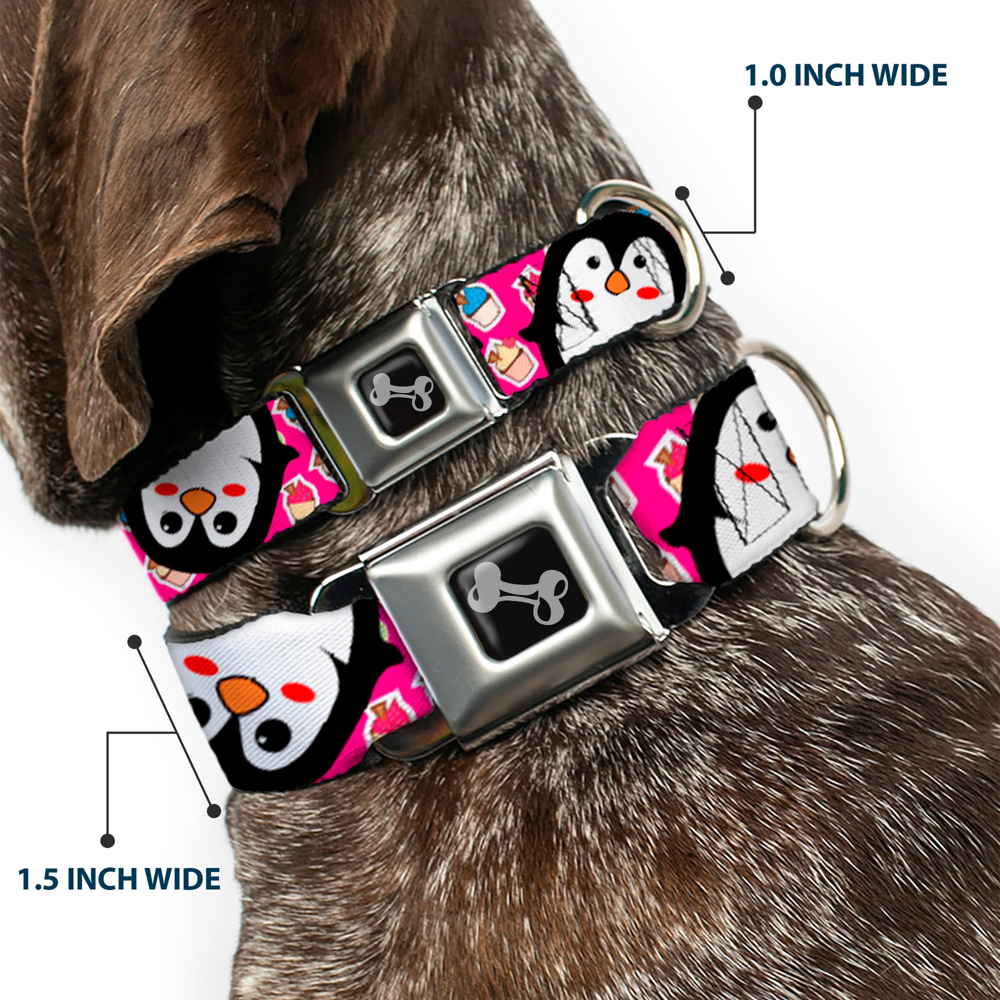 Dog Bone Black/Silver Seatbelt Buckle Collar - Penguins w/Cupcakes Fuchsia/Purple/White Seatbelt Buckle Collars Buckle-Down
