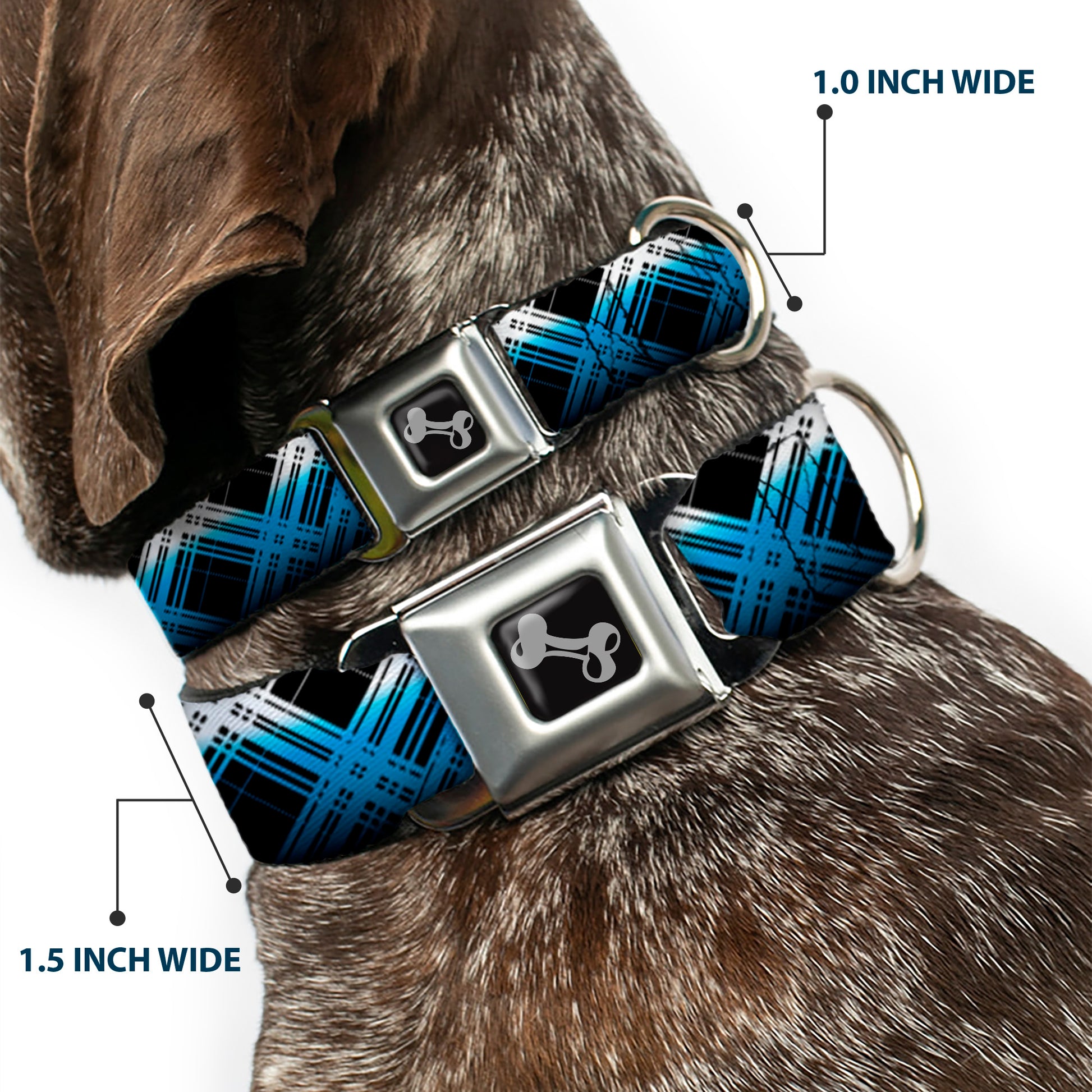 Dog Bone Seatbelt Buckle Collar - Plaid X Gradient Black/White/Blue Seatbelt Buckle Collars Buckle-Down
