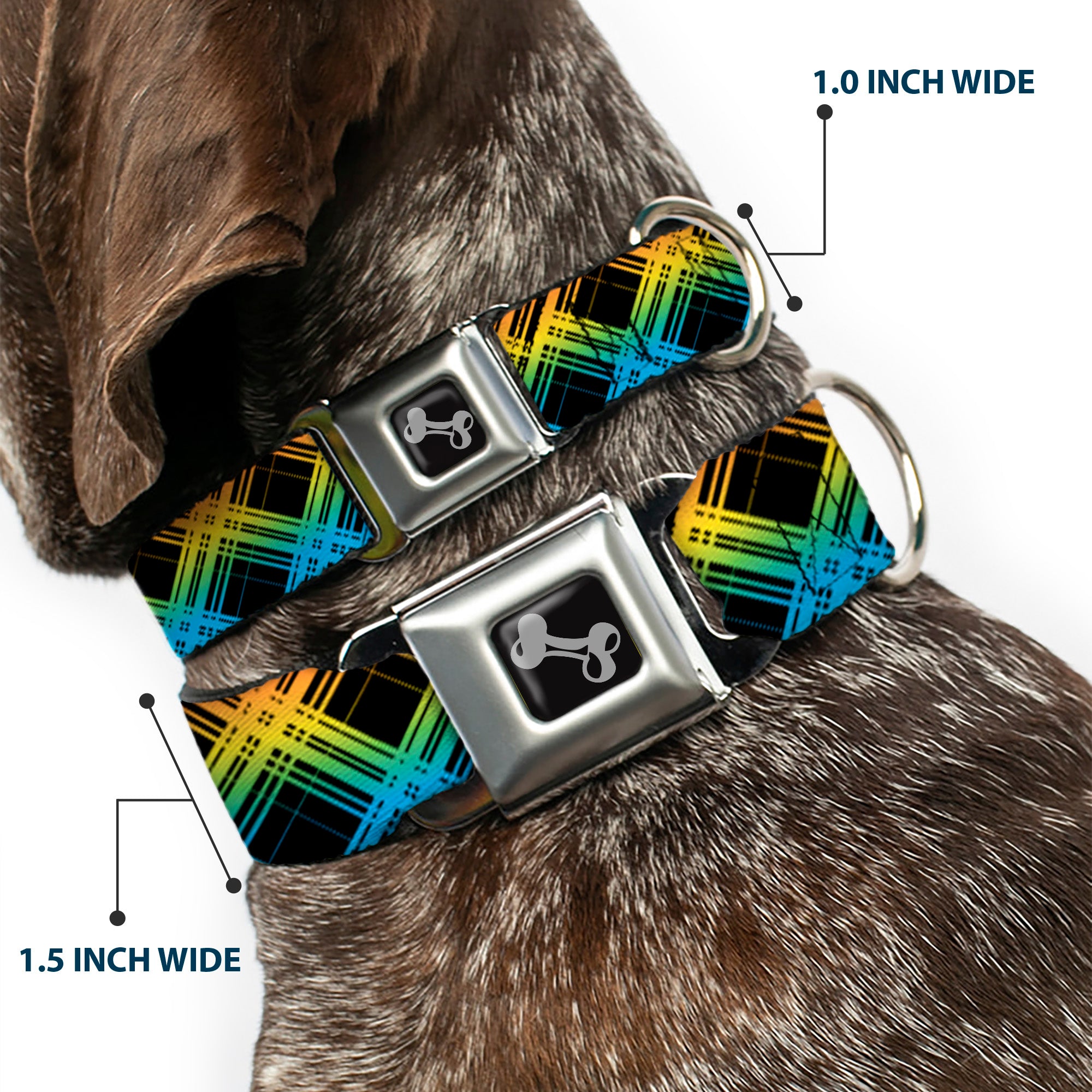 Dog Bone Seatbelt Buckle Collar - Plaid X Gradient Black/Orange/Green/Blue Seatbelt Buckle Collars Buckle-Down