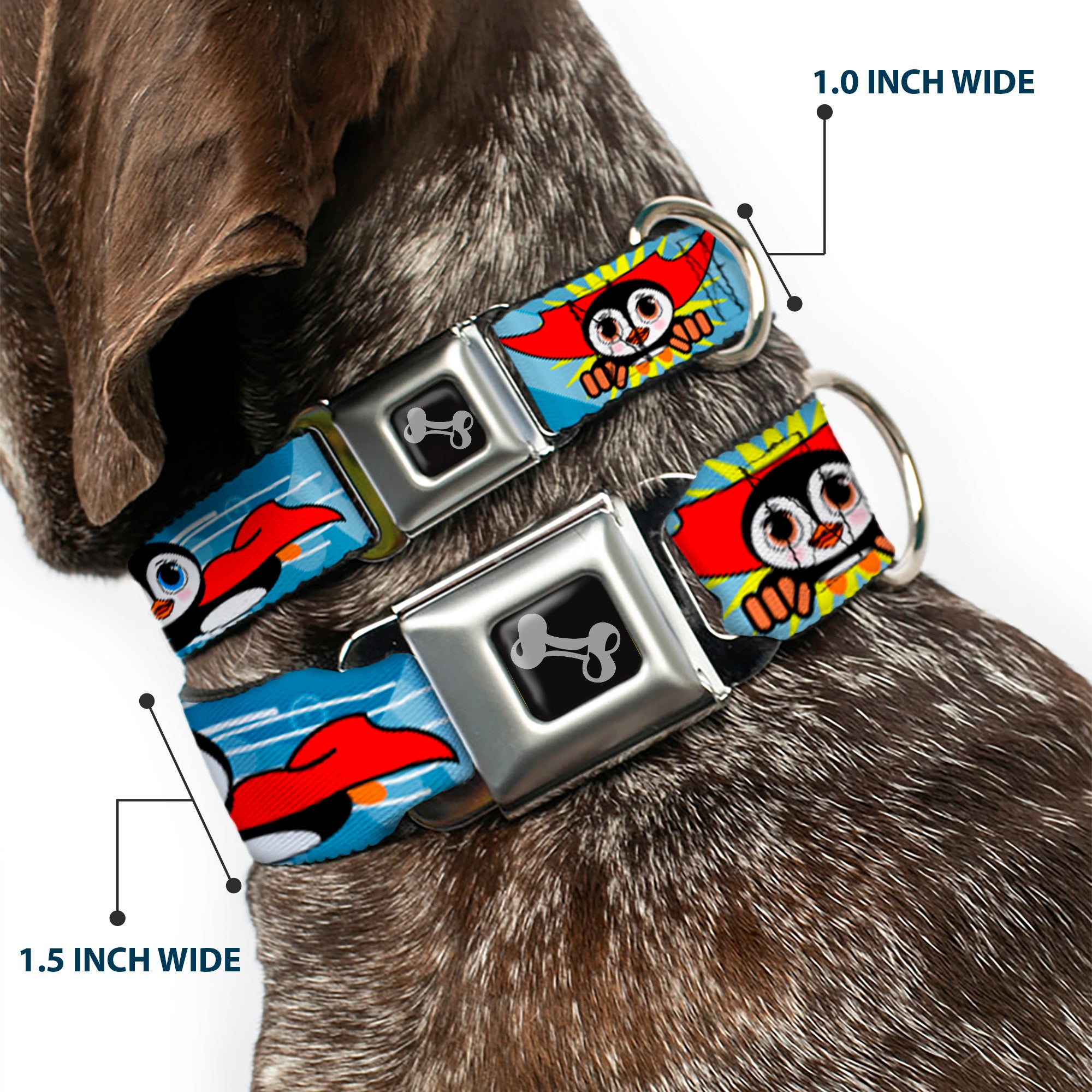 Dog Bone Seatbelt Buckle Collar - Penguin Superhero Blue Bubbles Seatbelt Buckle Collars Buckle-Down