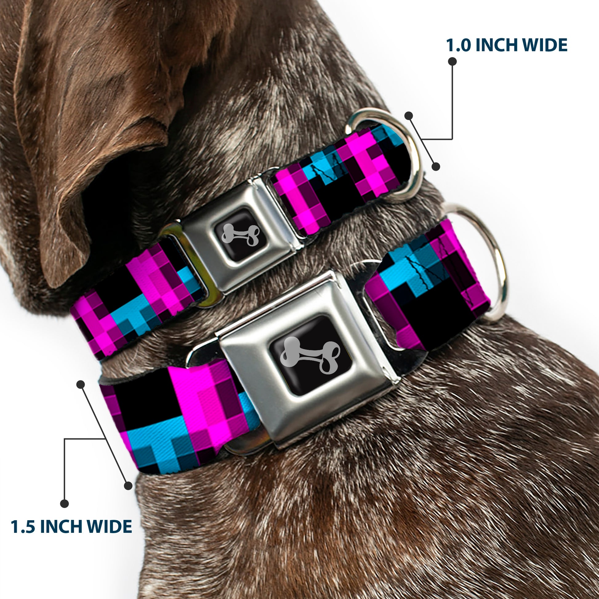 Dog Bone Seatbelt Buckle Collar - Pixilated Checker Black/Fuchsia/Turquoise Seatbelt Buckle Collars Buckle-Down