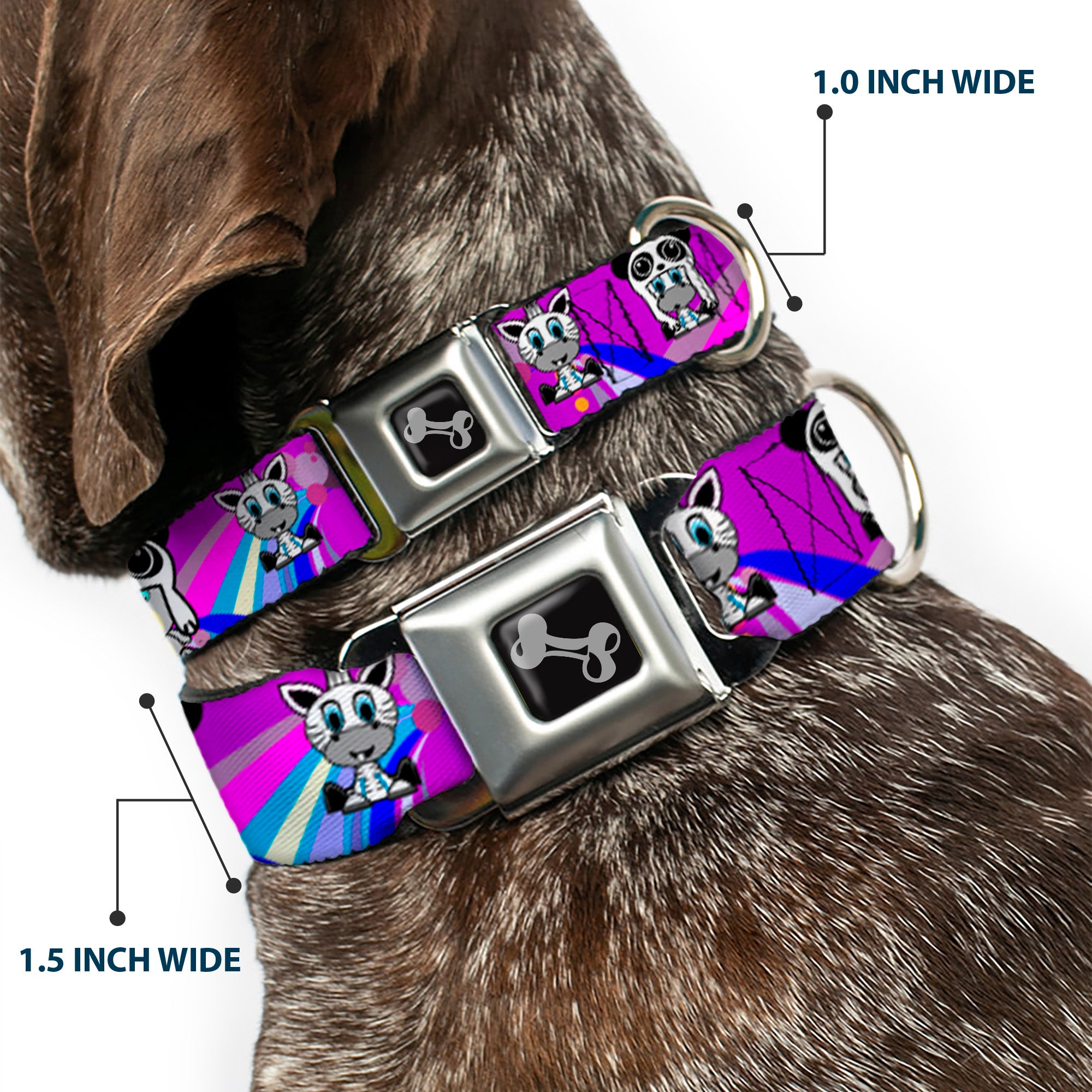 Dog Bone Seatbelt Buckle Collar - Panda Hat Animals w/Bright Color Burst Seatbelt Buckle Collars Buckle-Down