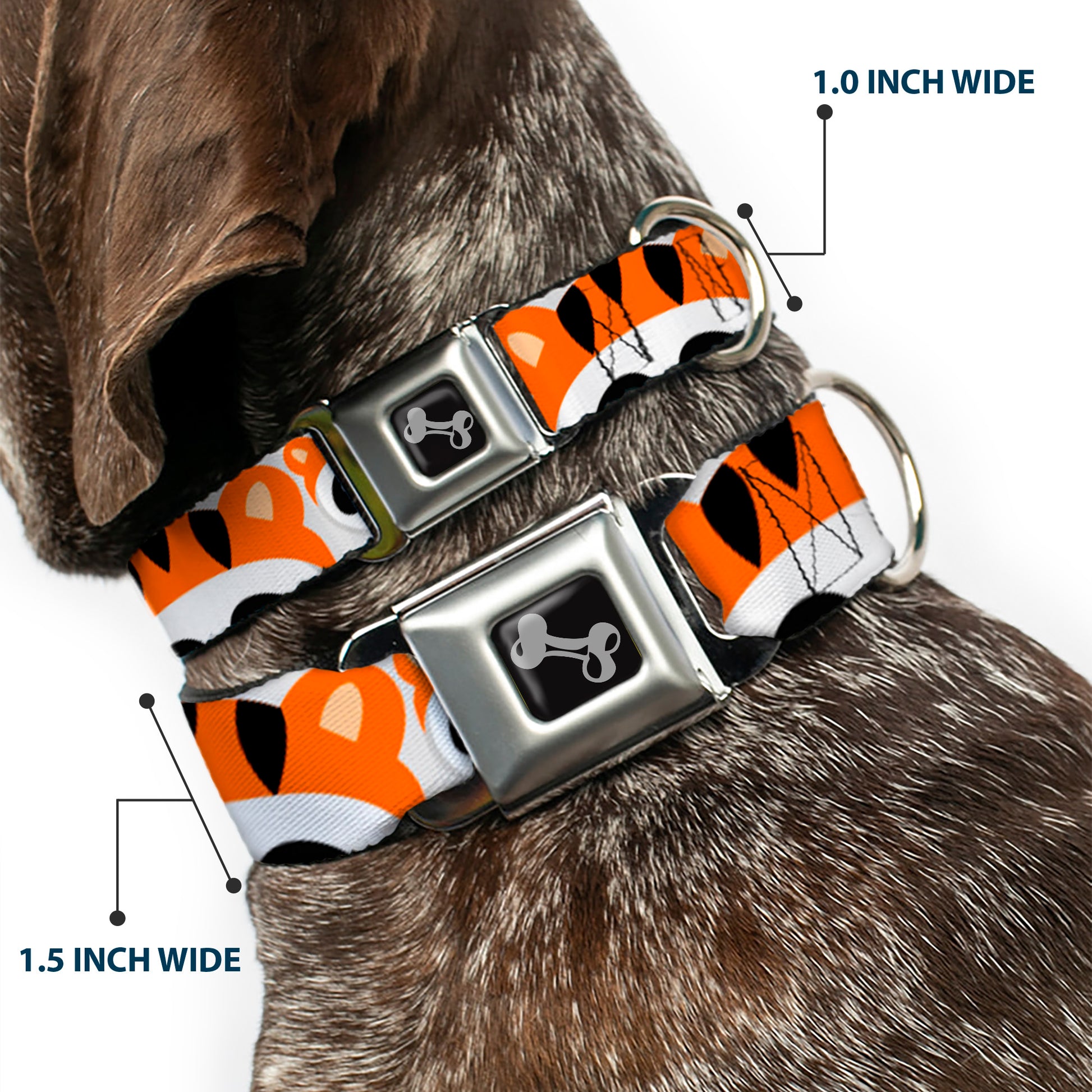 Dog Bone Seatbelt Buckle Collar - Panda w/Tiger Hat Seatbelt Buckle Collars Buckle-Down