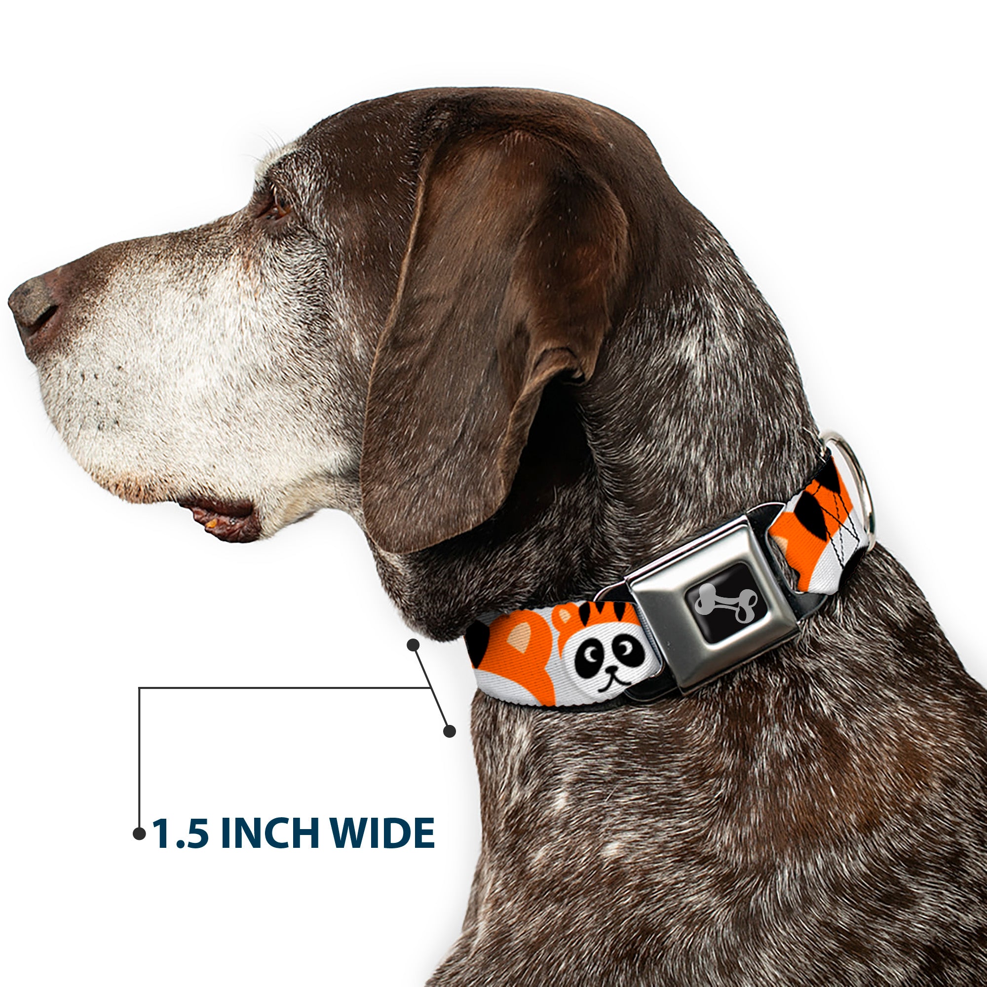 Dog Bone Seatbelt Buckle Collar - Panda w/Tiger Hat Seatbelt Buckle Collars Buckle-Down