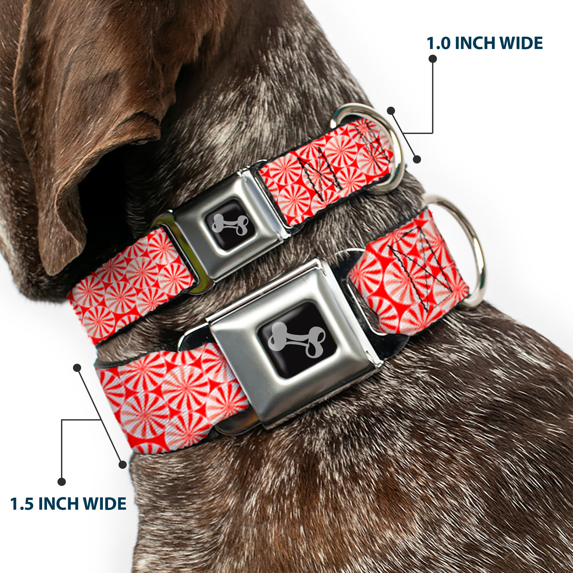 Dog Bone Seatbelt Buckle Collar - Peppermint Candies Seatbelt Buckle Collars Buckle-Down