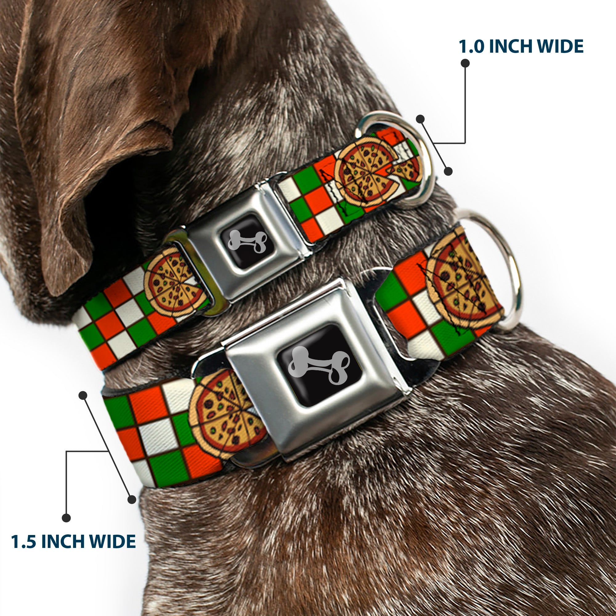 Dog Bone Seatbelt Buckle Collar - Pizza Pies Seatbelt Buckle Collars Buckle-Down