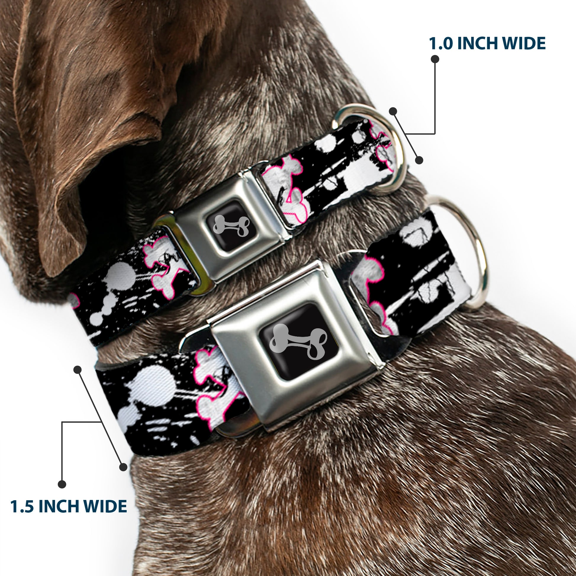 Dog Bone Seatbelt Buckle Collar - Punk Princess Heart & Cross Bones w/Splatter Black/White Seatbelt Buckle Collars Buckle-Down