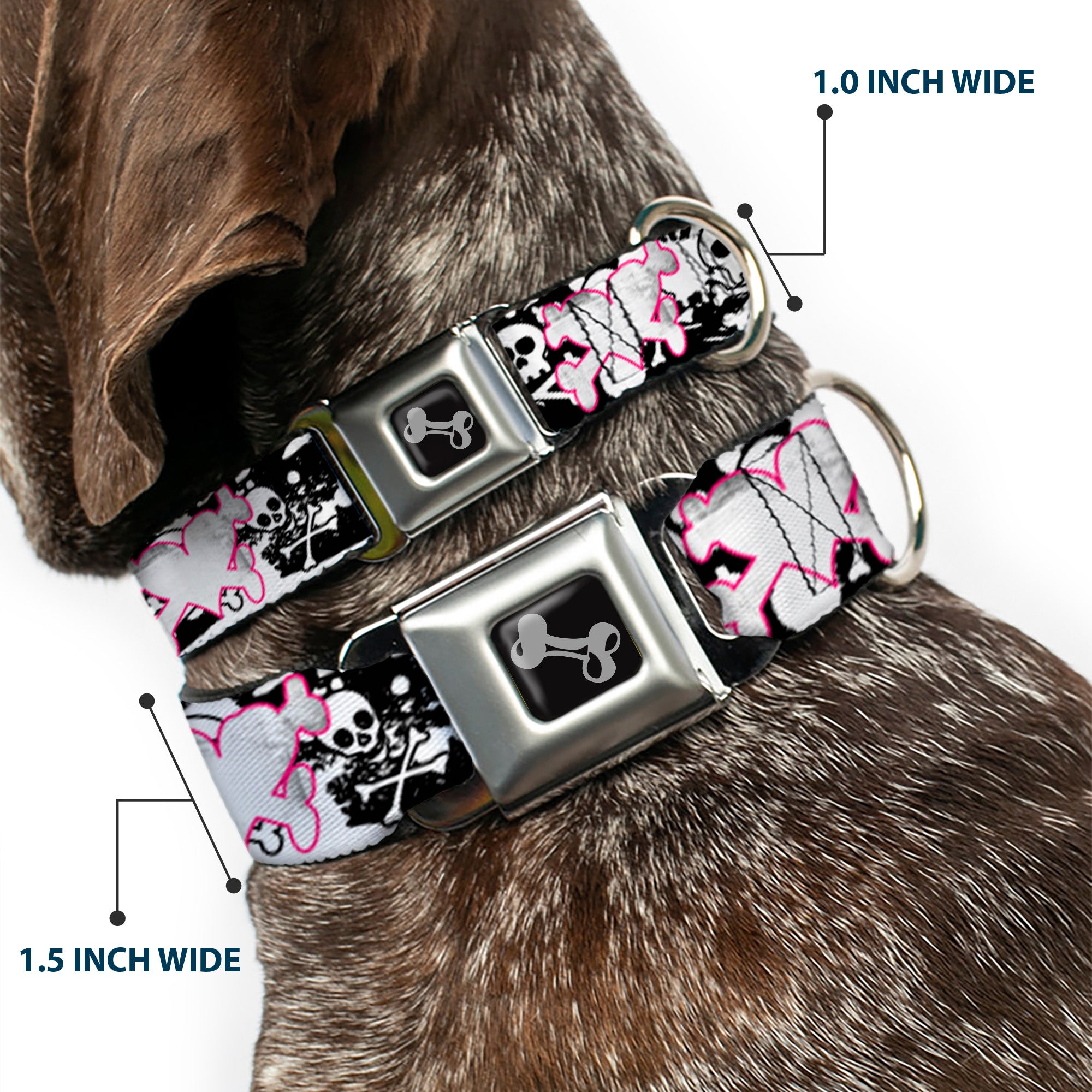 Dog Bone Black/Silver Seatbelt Buckle Collar - Punk Heart & Cross Bones w/Skulls & Splatter Black/White Seatbelt Buckle Collars Buckle-Down