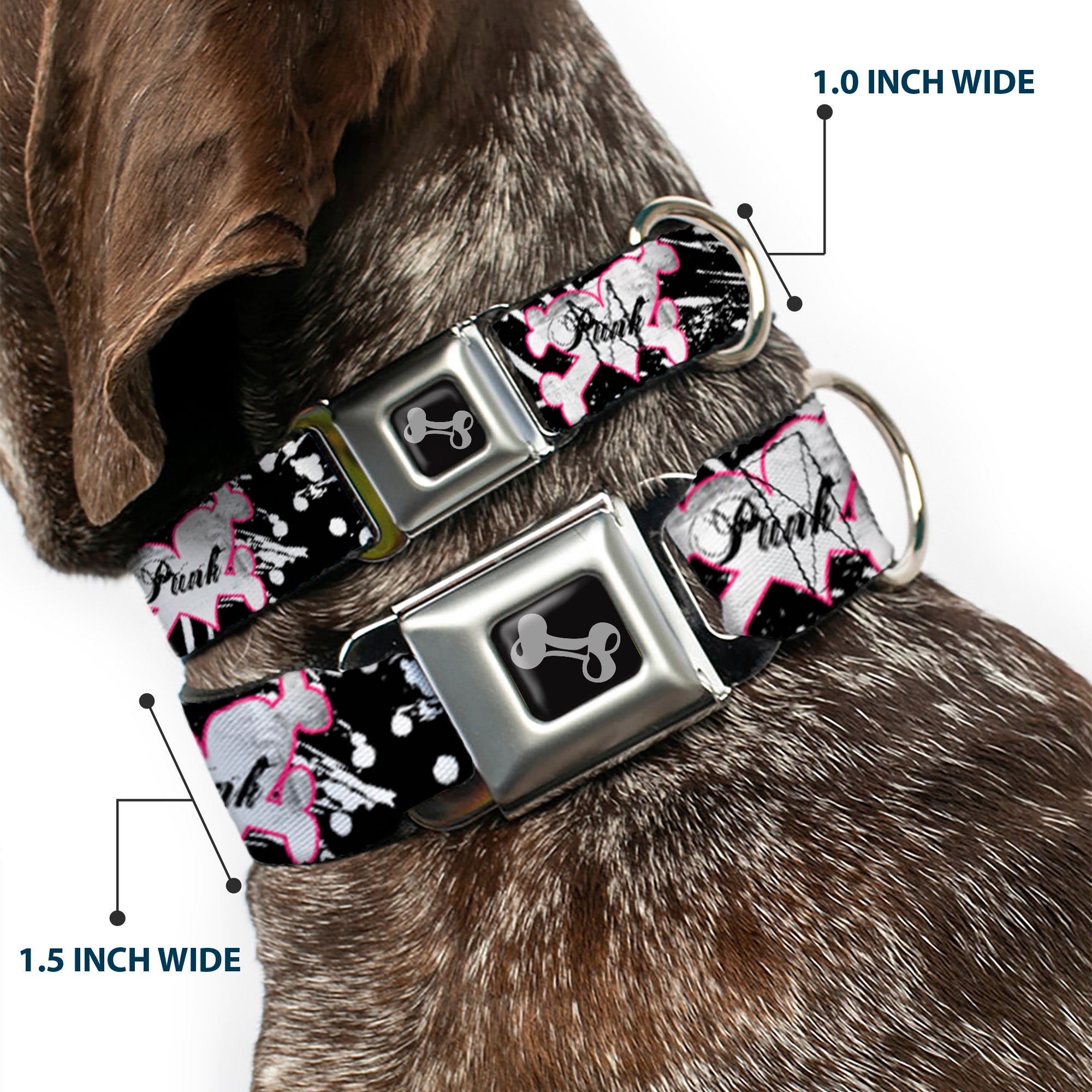Dog Bone Black/Silver Seatbelt Buckle Collar - Punk Heart & Cross Bones w/Splatter Black/White Seatbelt Buckle Collars Buckle-Down