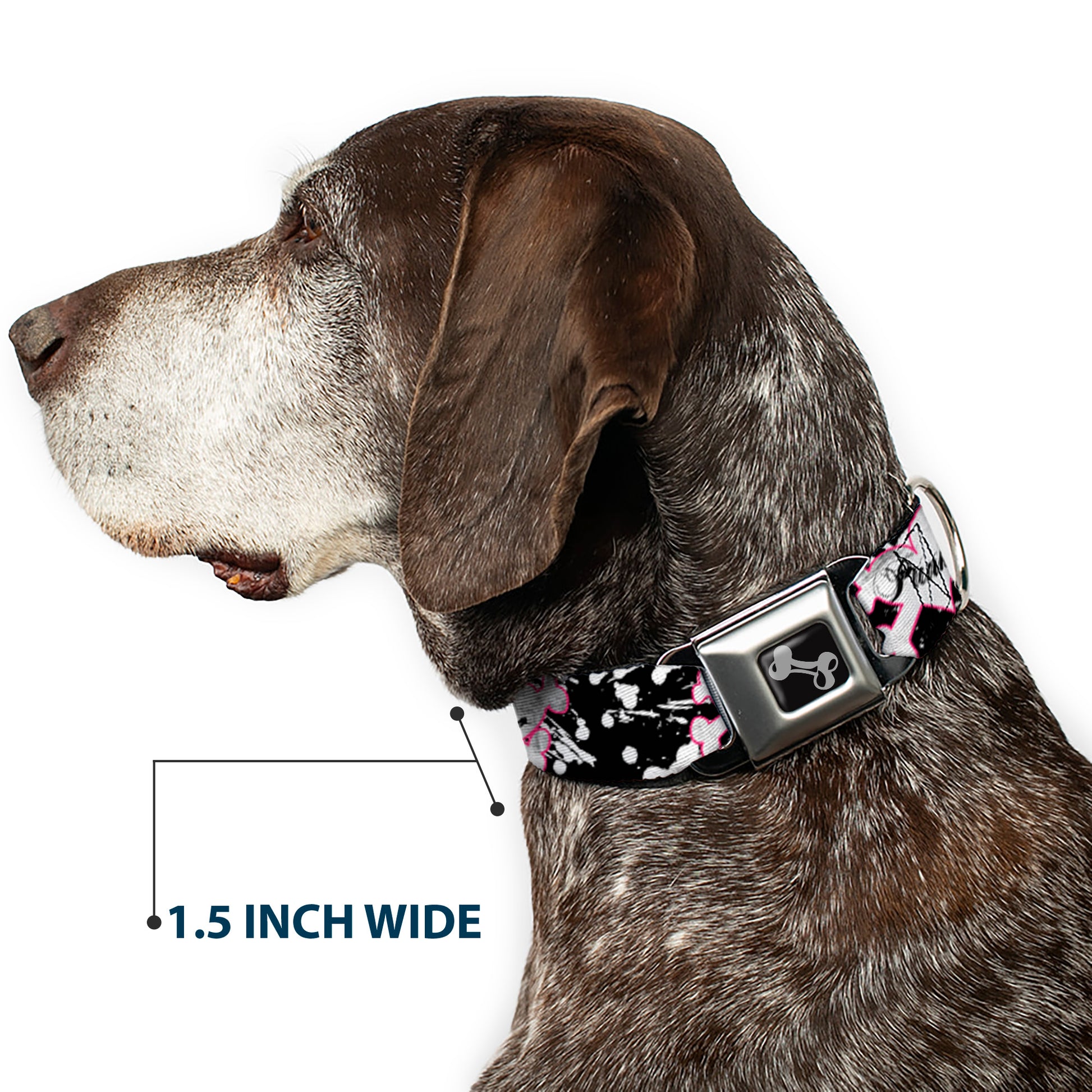 Dog Bone Black/Silver Seatbelt Buckle Collar - Punk Heart & Cross Bones w/Splatter Black/White Seatbelt Buckle Collars Buckle-Down