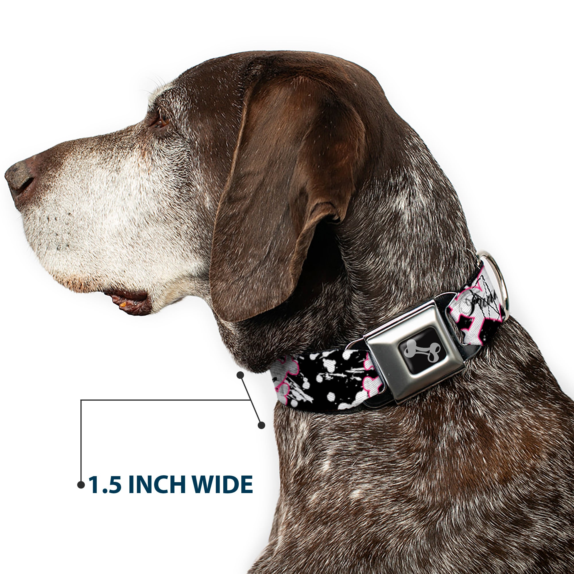Dog Bone Black/Silver Seatbelt Buckle Collar - Punk Heart & Cross Bones w/Splatter Black/White Seatbelt Buckle Collars Buckle-Down