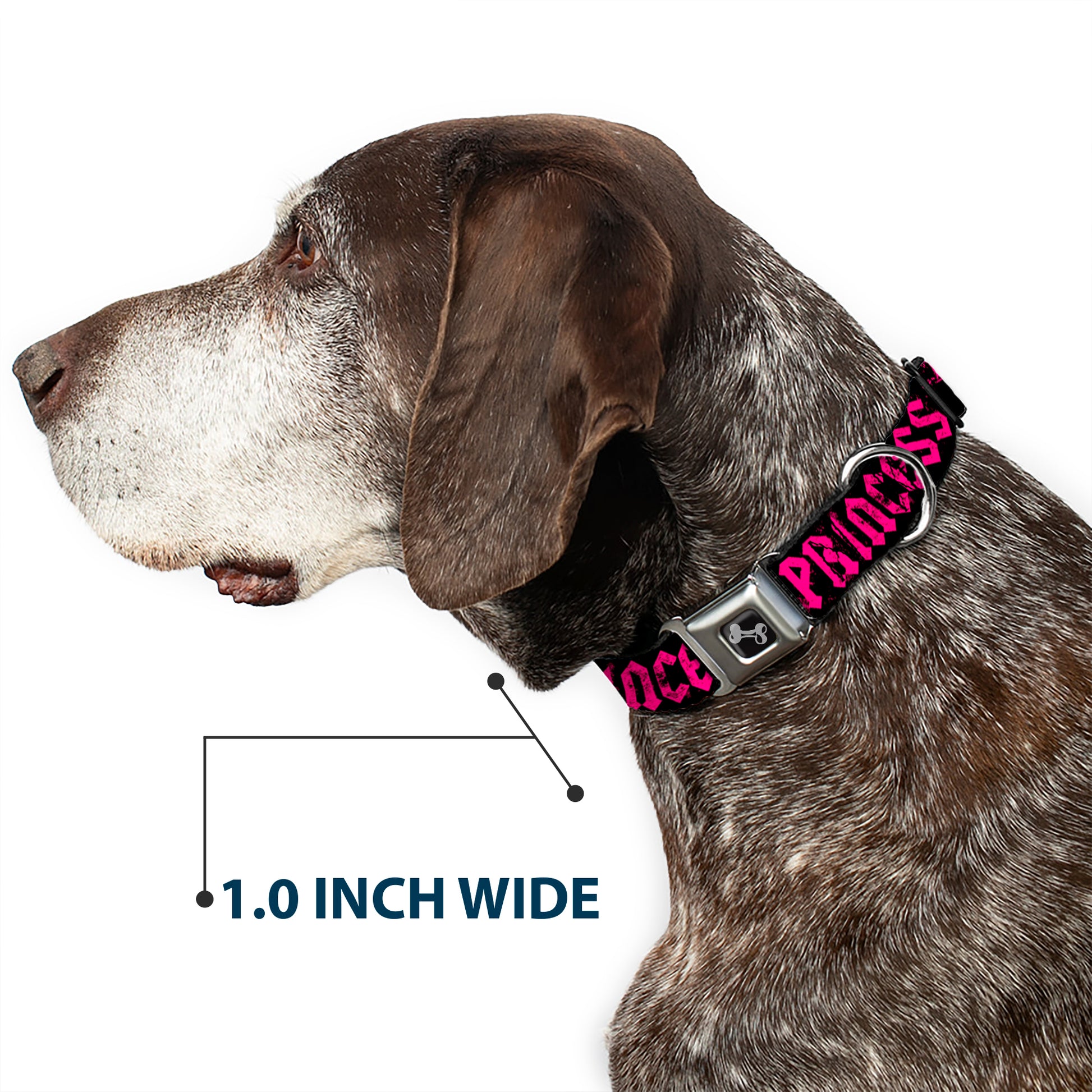 Dog Bone Seatbelt Buckle Collar - Punk Princess Black/Fuchsia Seatbelt Buckle Collars Buckle-Down