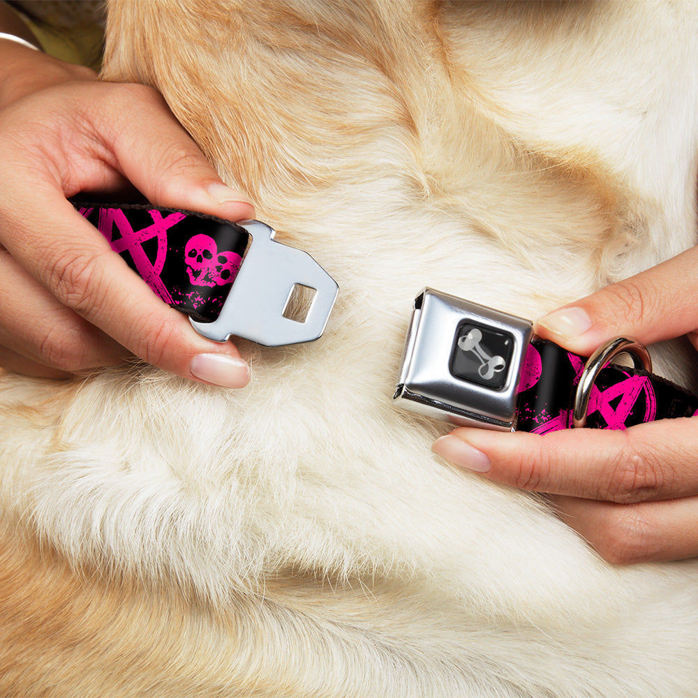 Dog Bone Seatbelt Buckle Collar - Punk Princess Black/Fuchsia Seatbelt Buckle Collars Buckle-Down