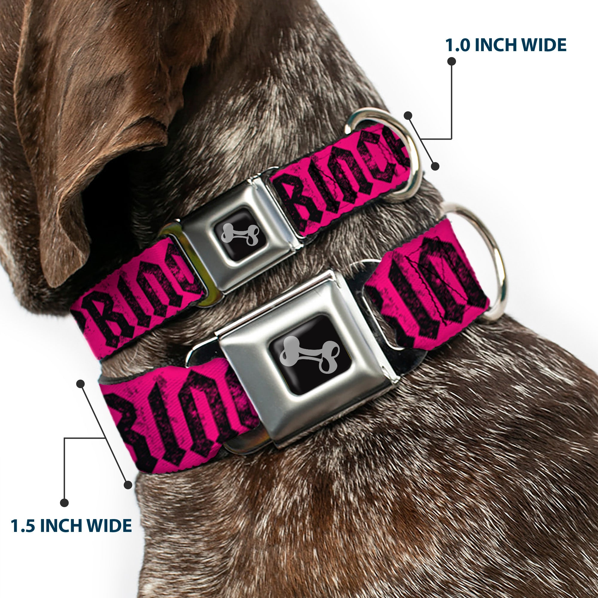 Dog Bone Seatbelt Buckle Collar - Punk Princess Fuchsia/Black Seatbelt Buckle Collars Buckle-Down