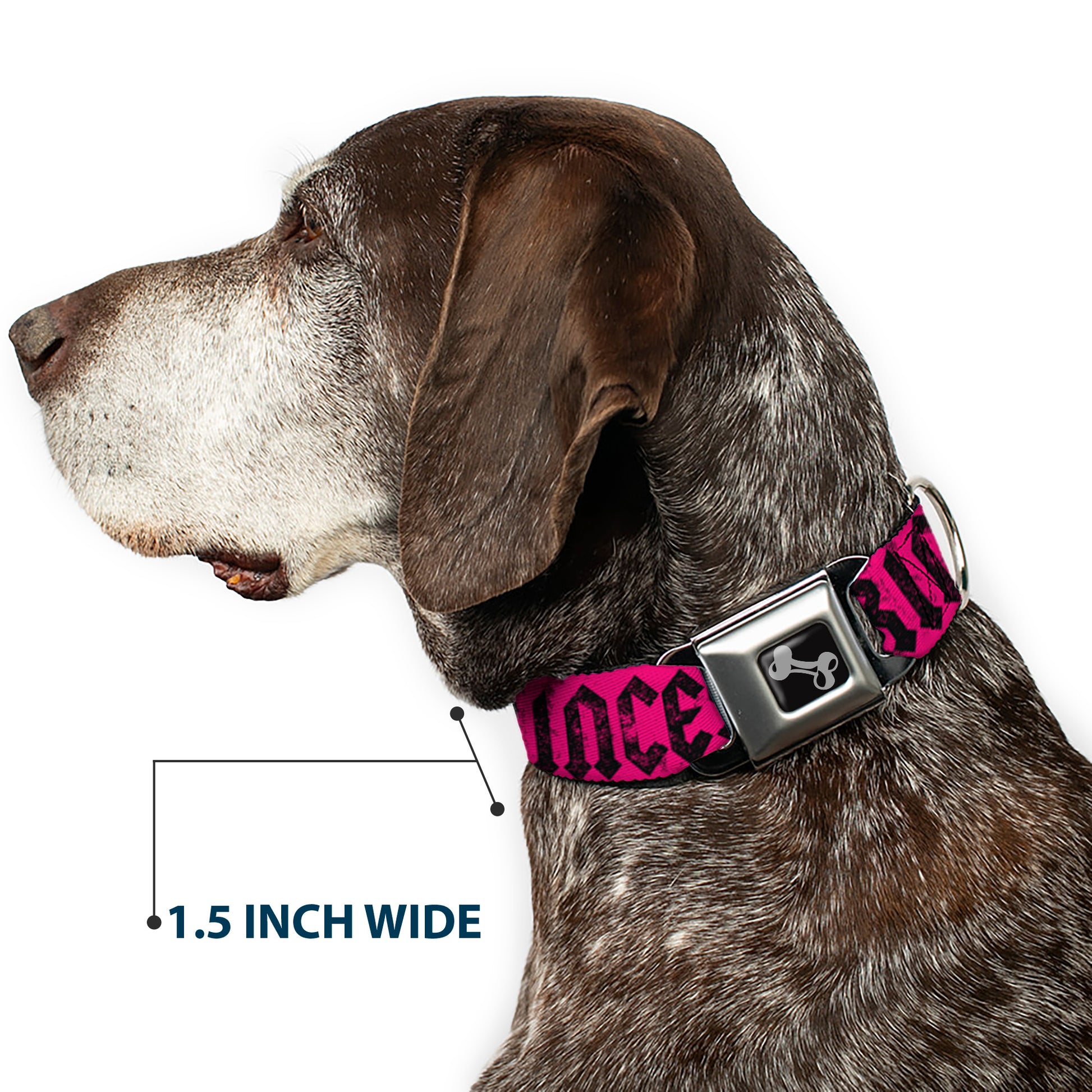 Dog Bone Seatbelt Buckle Collar - Punk Princess Fuchsia/Black Seatbelt Buckle Collars Buckle-Down