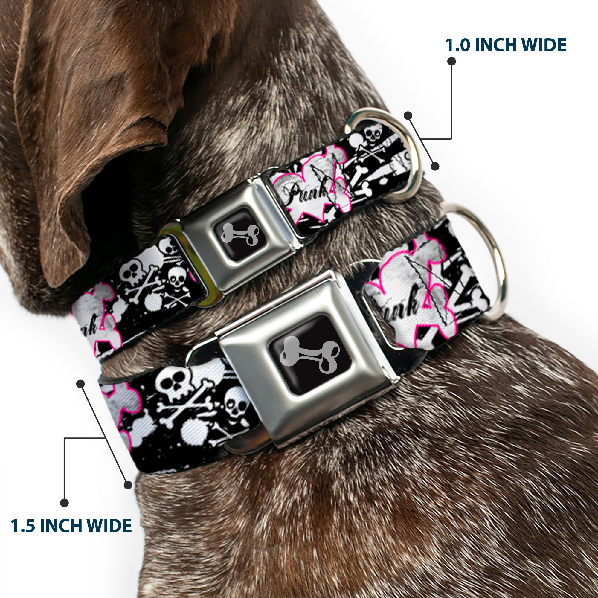 Dog Bone Seatbelt Buckle Collar - Punk Princess Heart & Cross Bones w/Skulls & Splatter Black/White Seatbelt Buckle Collars Buckle-Down