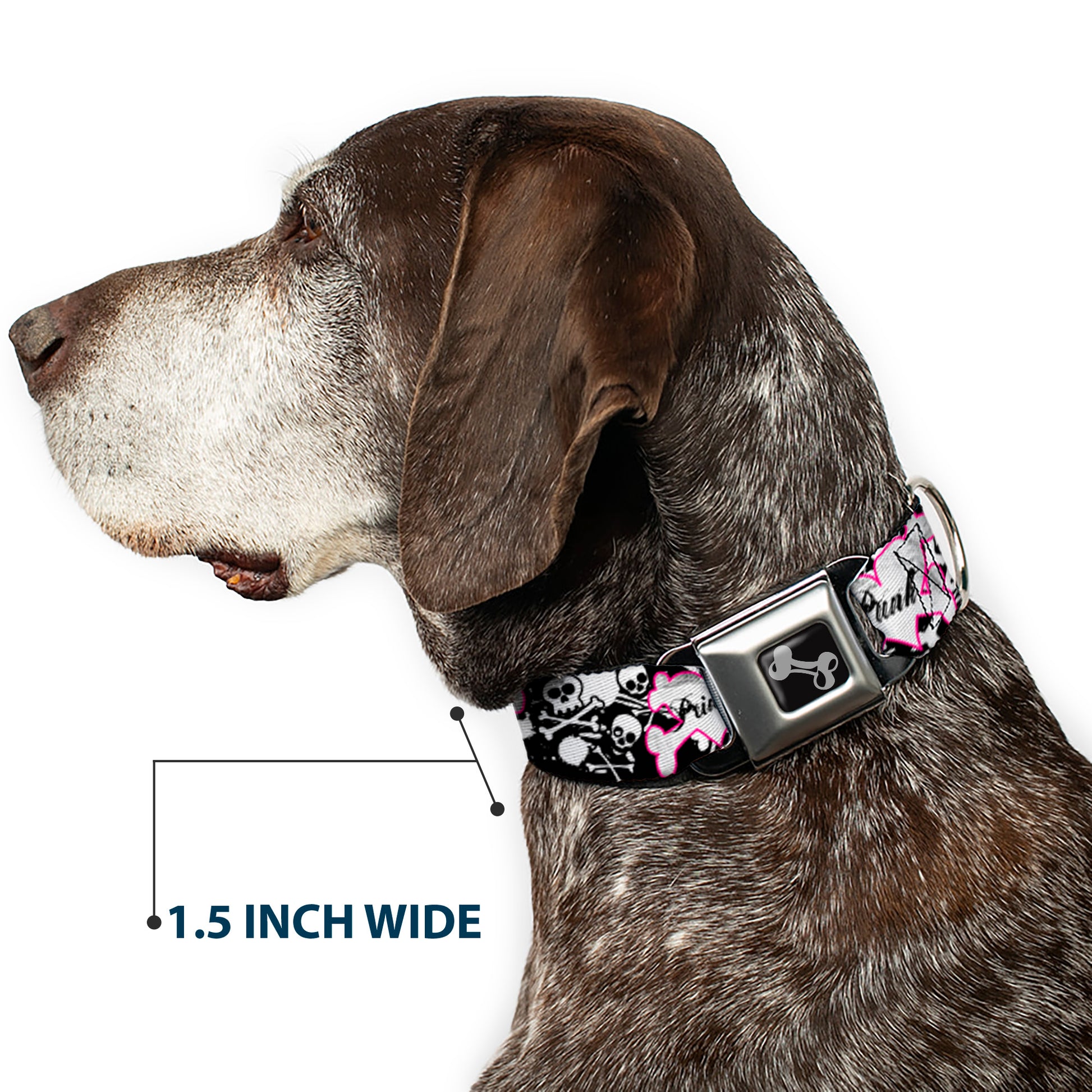 Dog Bone Seatbelt Buckle Collar - Punk Princess Heart & Cross Bones w/Skulls & Splatter Black/White Seatbelt Buckle Collars Buckle-Down