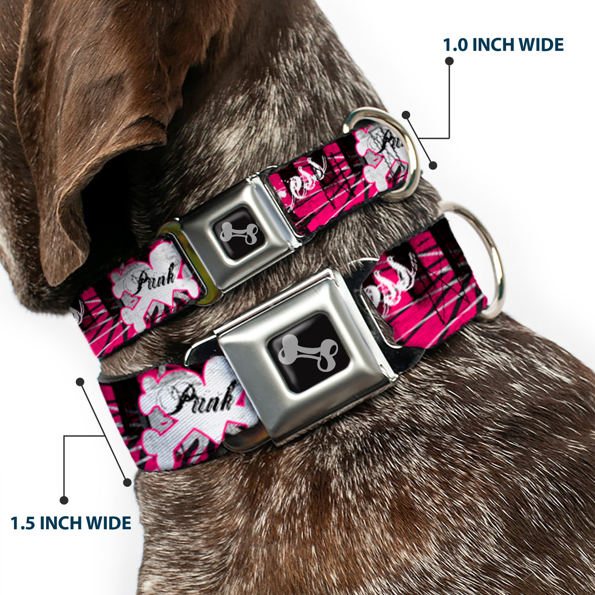 Dog Bone Seatbelt Buckle Collar - Punk Princess w/Piano Keys Seatbelt Buckle Collars Buckle-Down