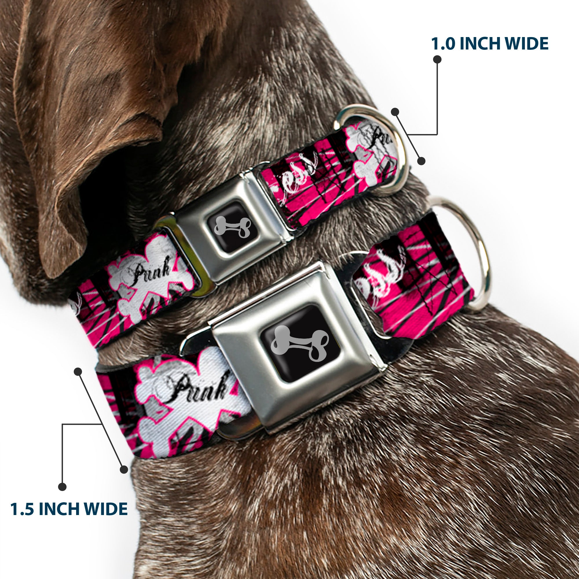 Dog Bone Seatbelt Buckle Collar - Punk Princess w/Piano Keys Seatbelt Buckle Collars Buckle-Down