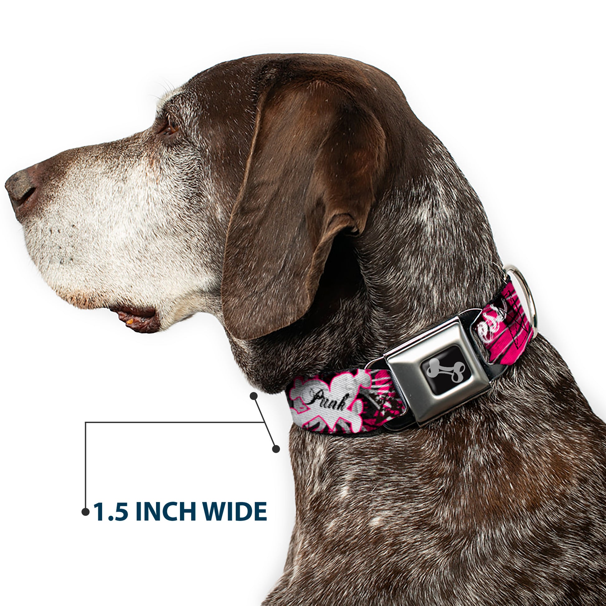 Dog Bone Seatbelt Buckle Collar - Punk Princess w/Piano Keys Seatbelt Buckle Collars Buckle-Down