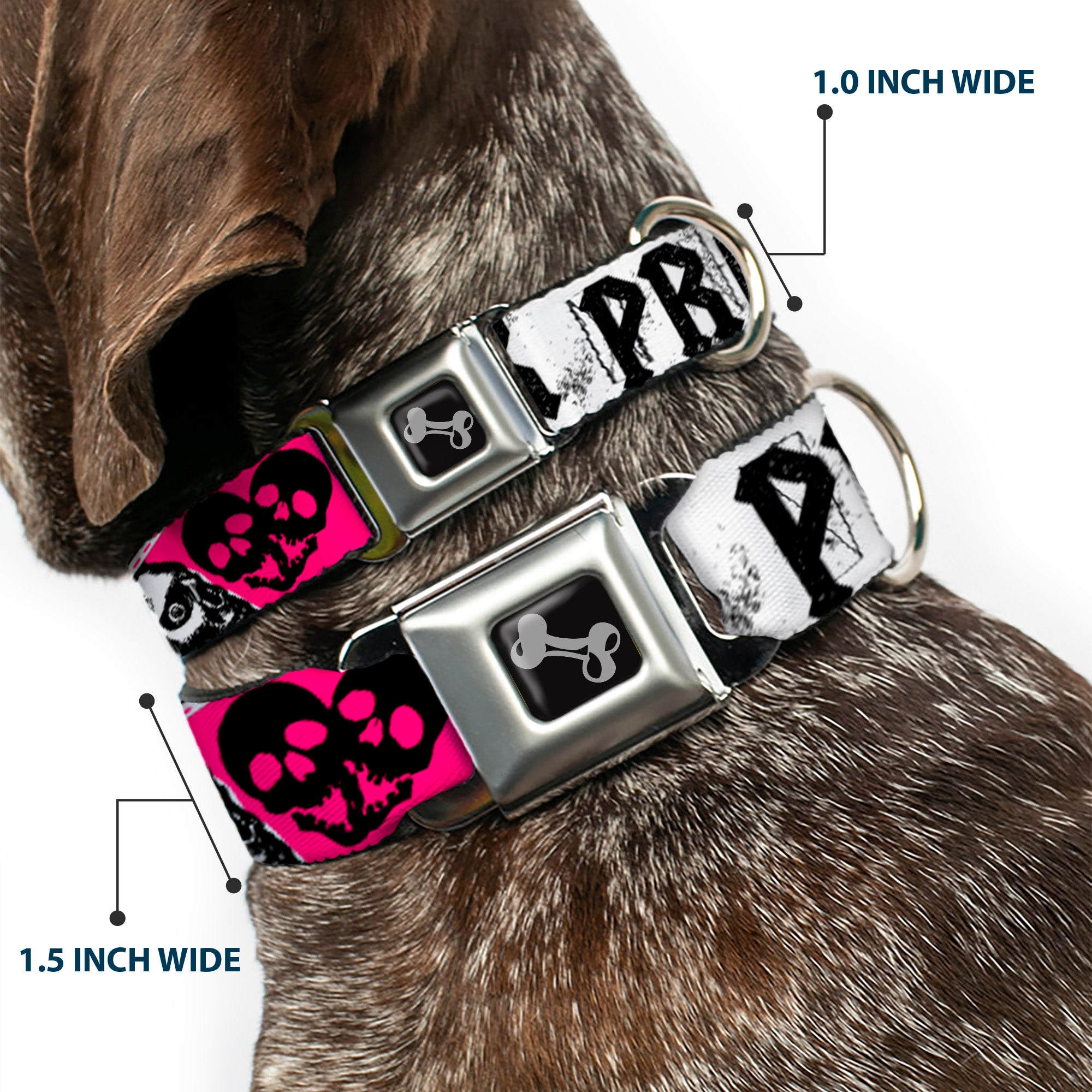Dog Bone Seatbelt Buckle Collar - Punk Princess w/Zippers & Skulls Seatbelt Buckle Collars Buckle-Down