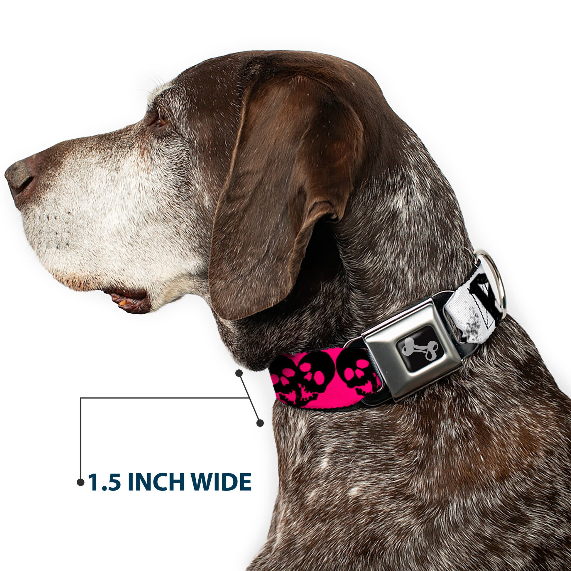 Dog Bone Seatbelt Buckle Collar - Punk Princess w/Zippers & Skulls Seatbelt Buckle Collars Buckle-Down