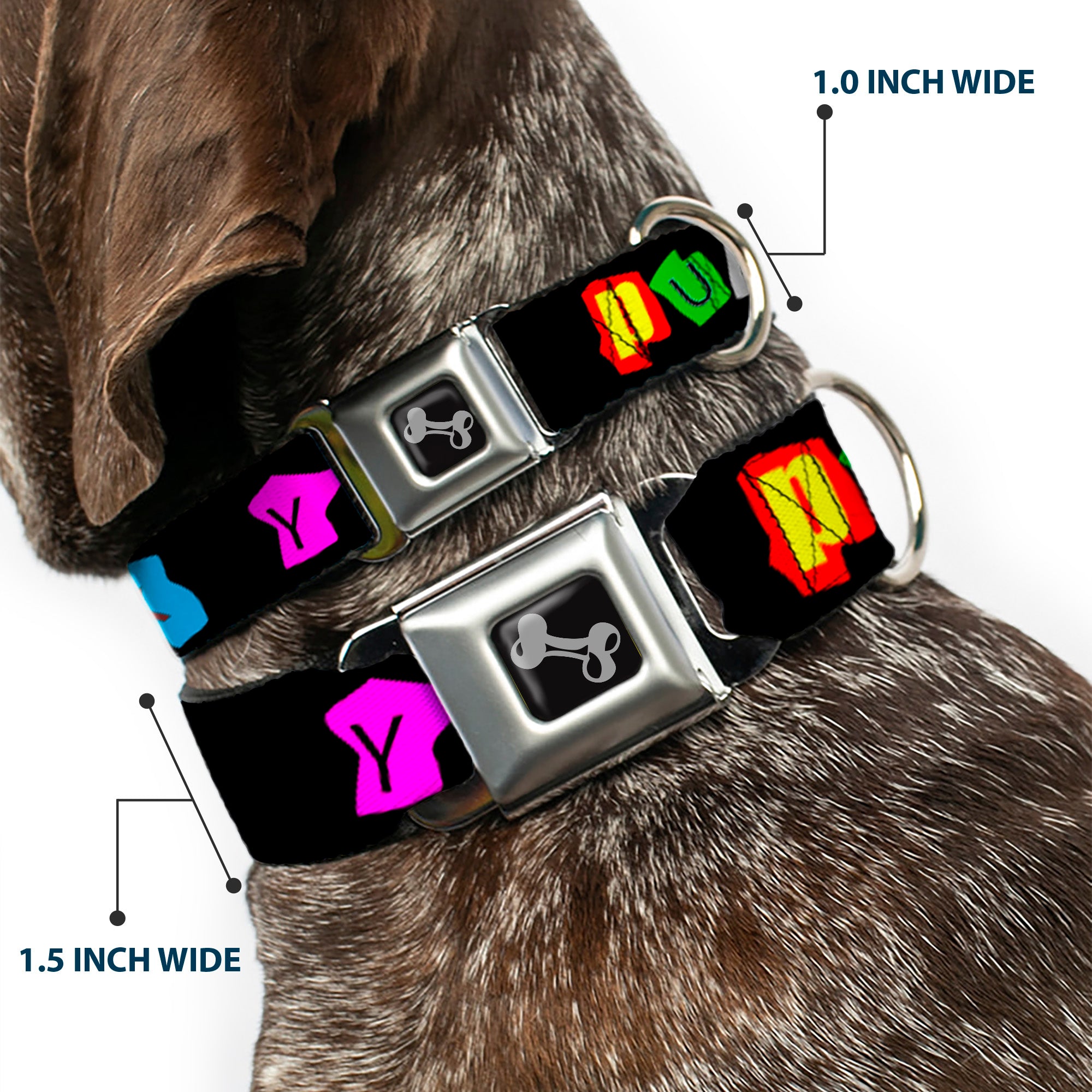 Dog Bone Seatbelt Buckle Collar - Punk You Black/Full Color Seatbelt Buckle Collars Buckle-Down