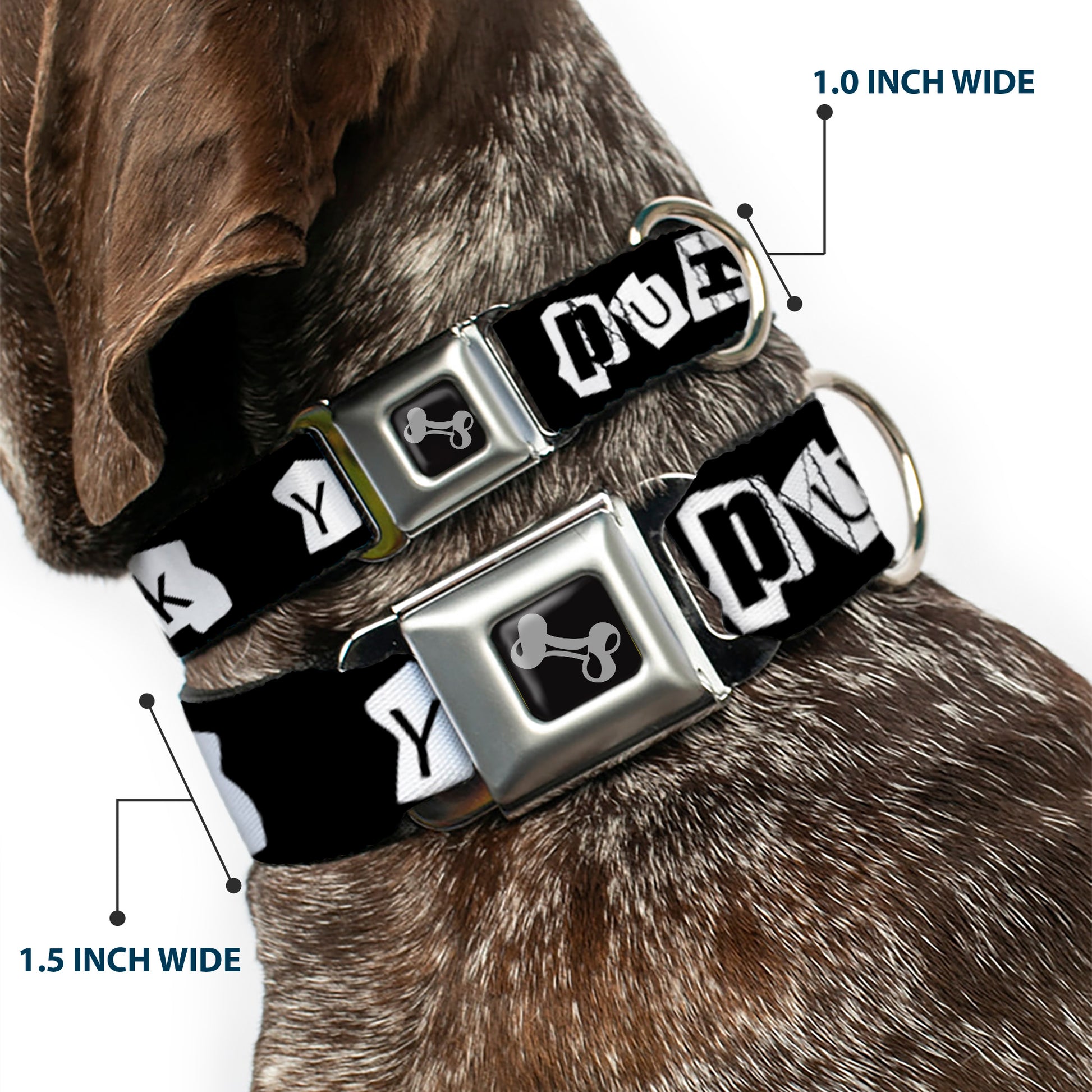 Dog Bone Seatbelt Buckle Collar - Punk You Black/White Seatbelt Buckle Collars Buckle-Down