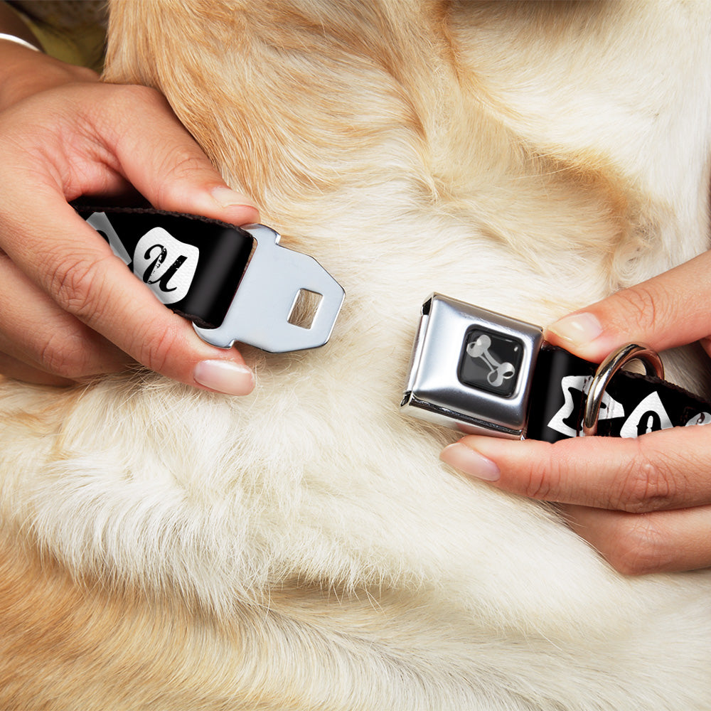 Dog Bone Seatbelt Buckle Collar - Punk You Black/White Seatbelt Buckle Collars Buckle-Down