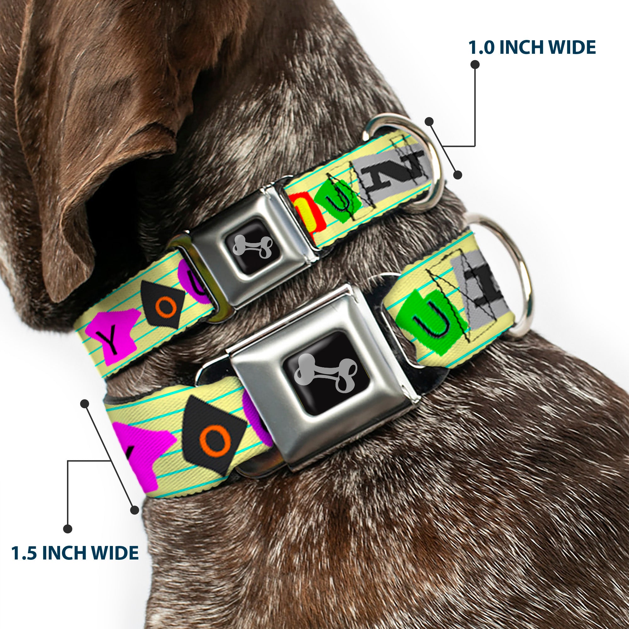 Dog Bone Seatbelt Buckle Collar - Punk You Legal Pad/Full Color Seatbelt Buckle Collars Buckle-Down