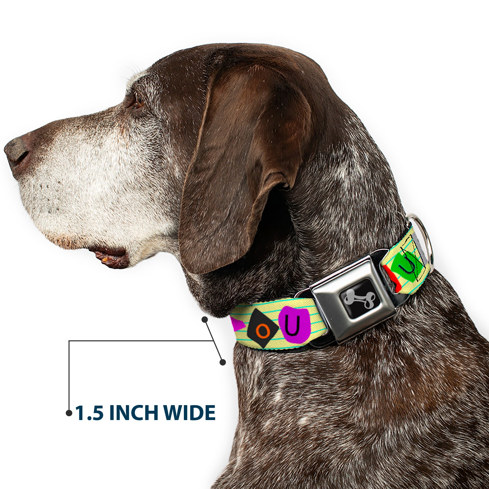 Dog Bone Seatbelt Buckle Collar - Punk You Legal Pad/Full Color Seatbelt Buckle Collars Buckle-Down