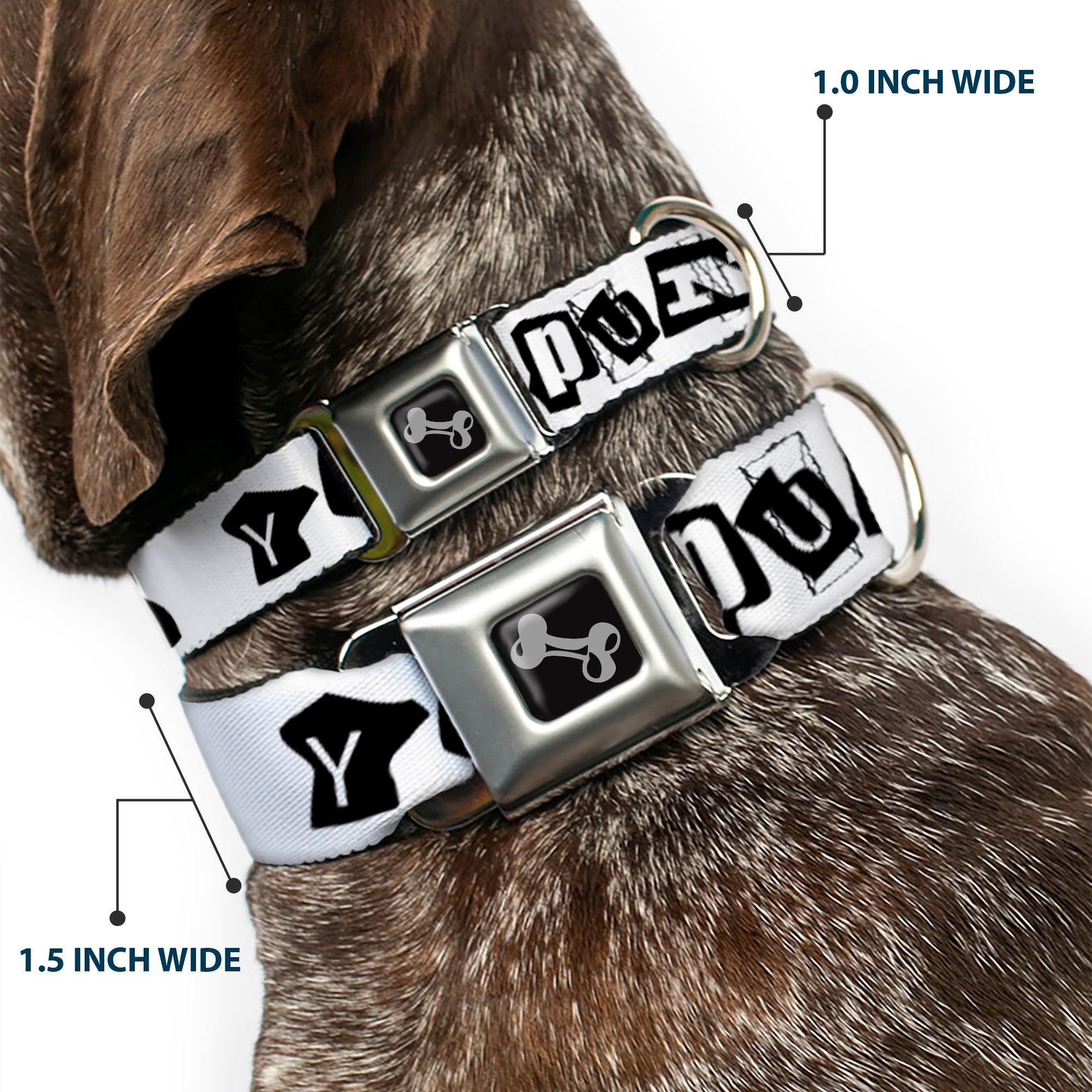 Dog Bone Seatbelt Buckle Collar - Punk You White/Black Seatbelt Buckle Collars Buckle-Down