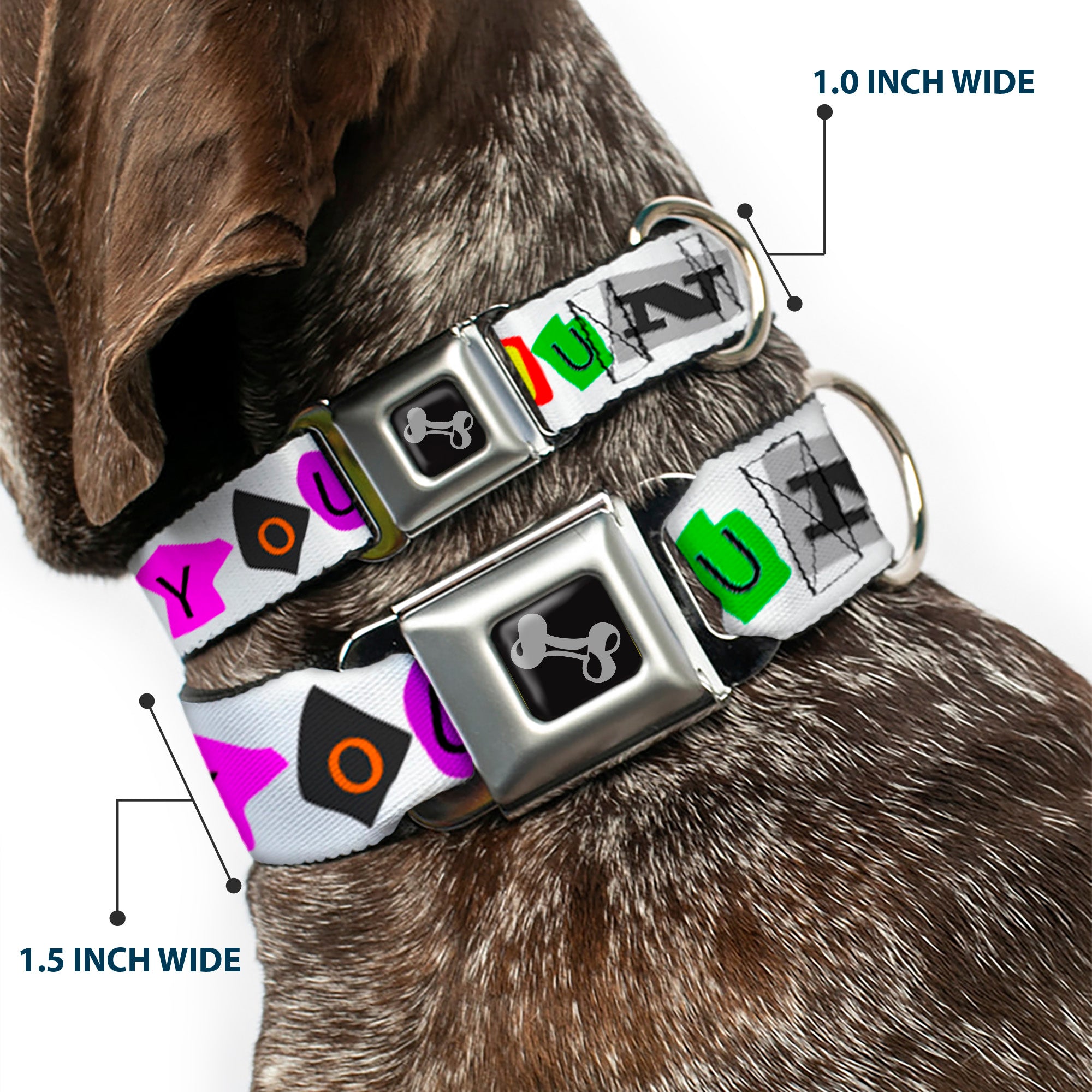 Dog Bone Seatbelt Buckle Collar - Punk You White/Full Color Seatbelt Buckle Collars Buckle-Down