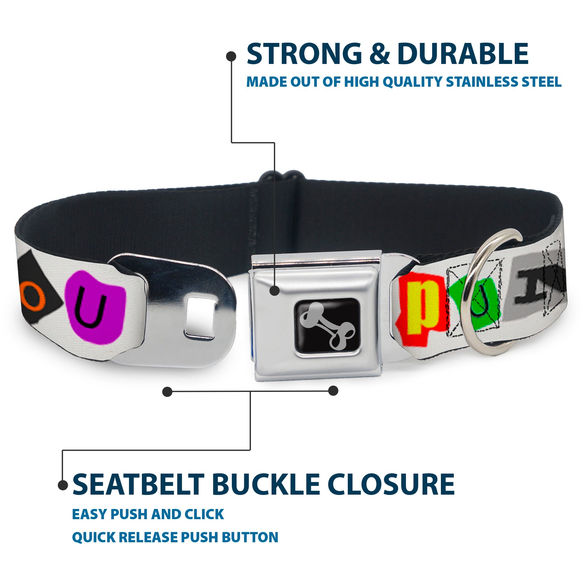 Dog Bone Seatbelt Buckle Collar - Punk You White/Full Color Seatbelt Buckle Collars Buckle-Down