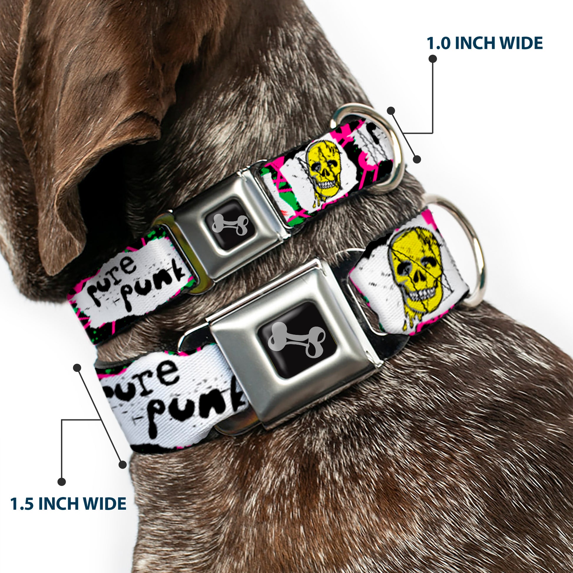 Dog Bone Seatbelt Buckle Collar - Pure Punk w/Safety Pins Black/Fuchsia/White Seatbelt Buckle Collars Buckle-Down