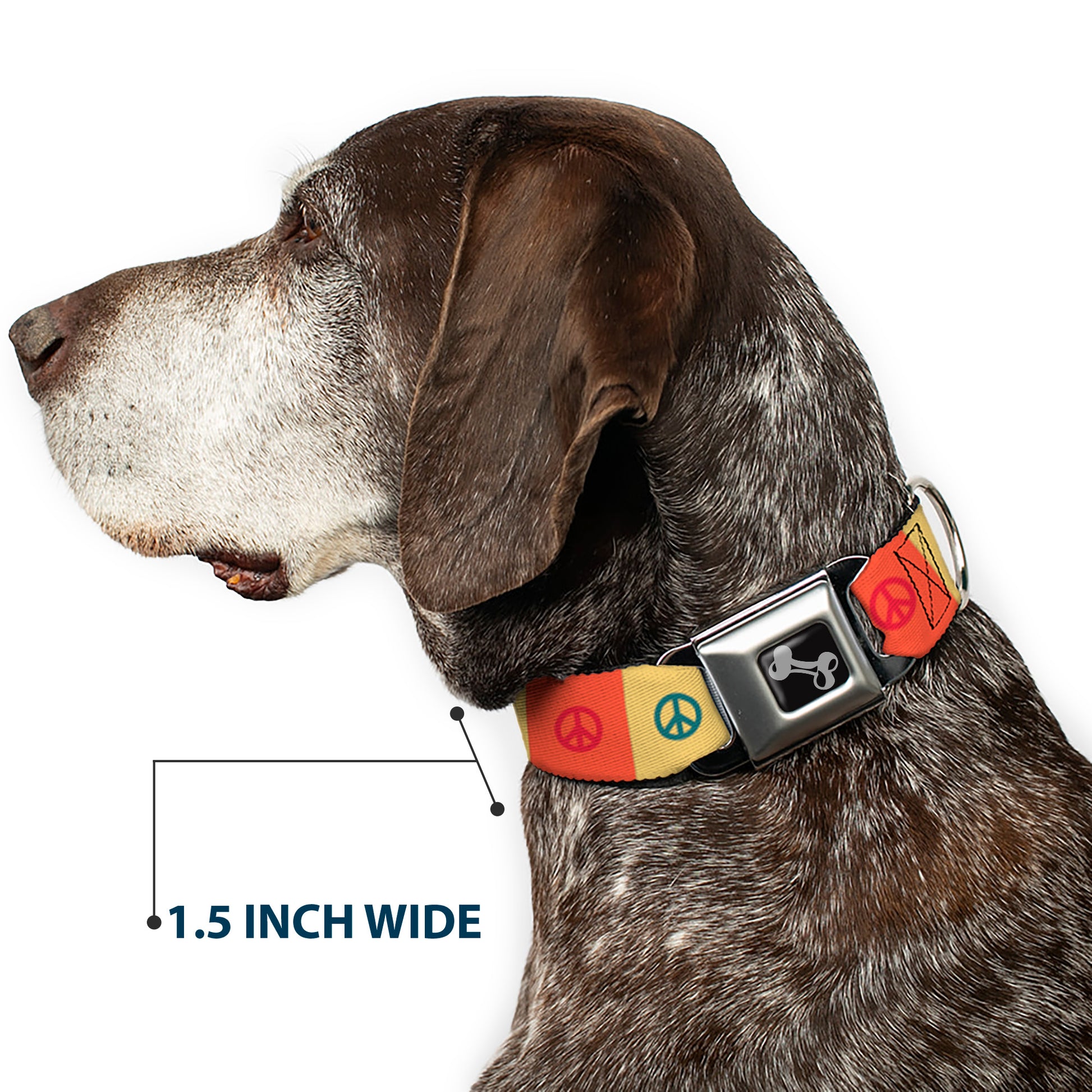 Dog Bone Seatbelt Buckle Collar - Peace Blocks Red/Yellow/Blue Seatbelt Buckle Collars Buckle-Down