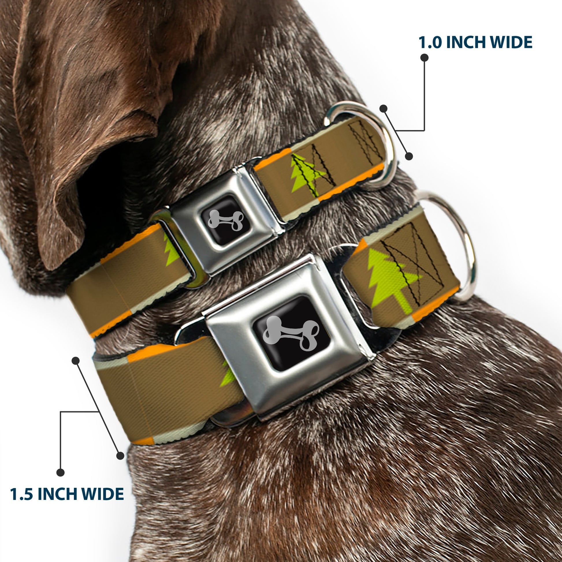 Dog Bone Seatbelt Buckle Collar - Pine Trees Blocks Olive/Orange/Tan Seatbelt Buckle Collars Buckle-Down