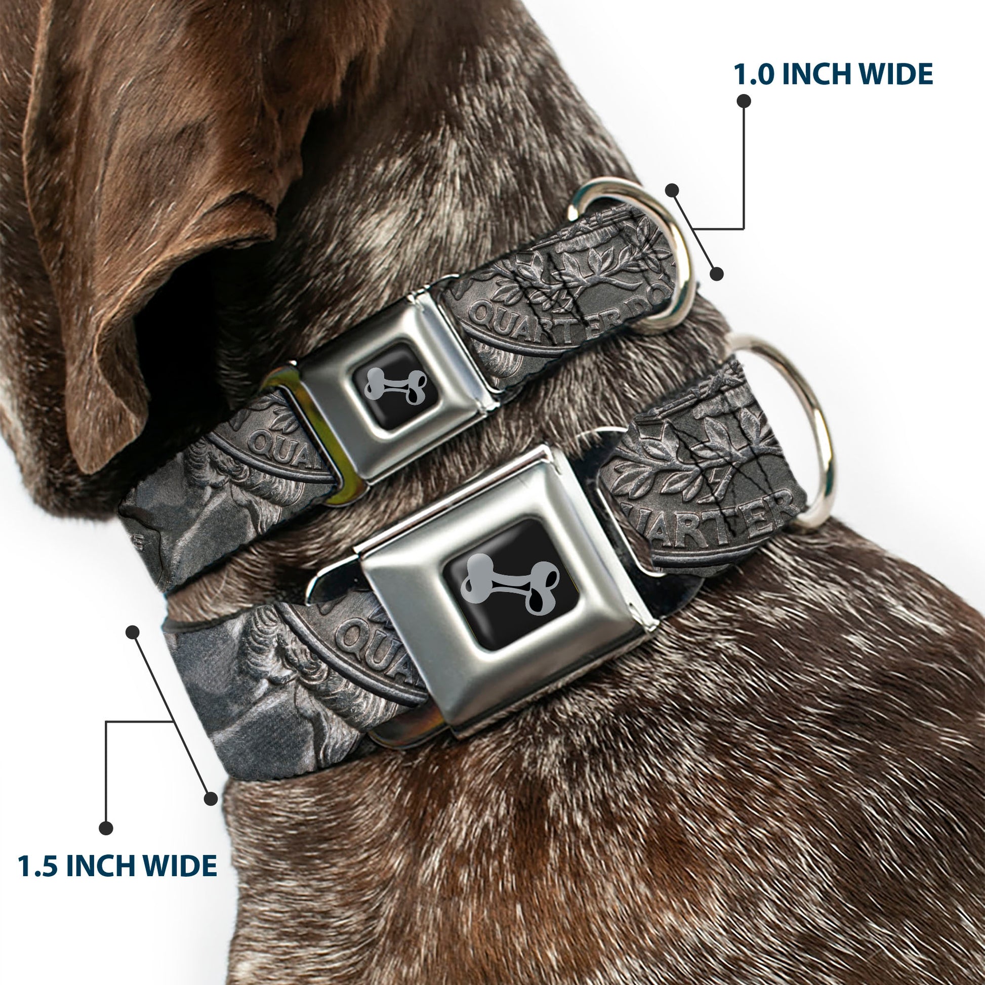 Dog Bone Black/Silver Seatbelt Buckle Collar - Quarter Coins Stacked Silvery Gray/Golden Yellow Seatbelt Buckle Collars Buckle-Down