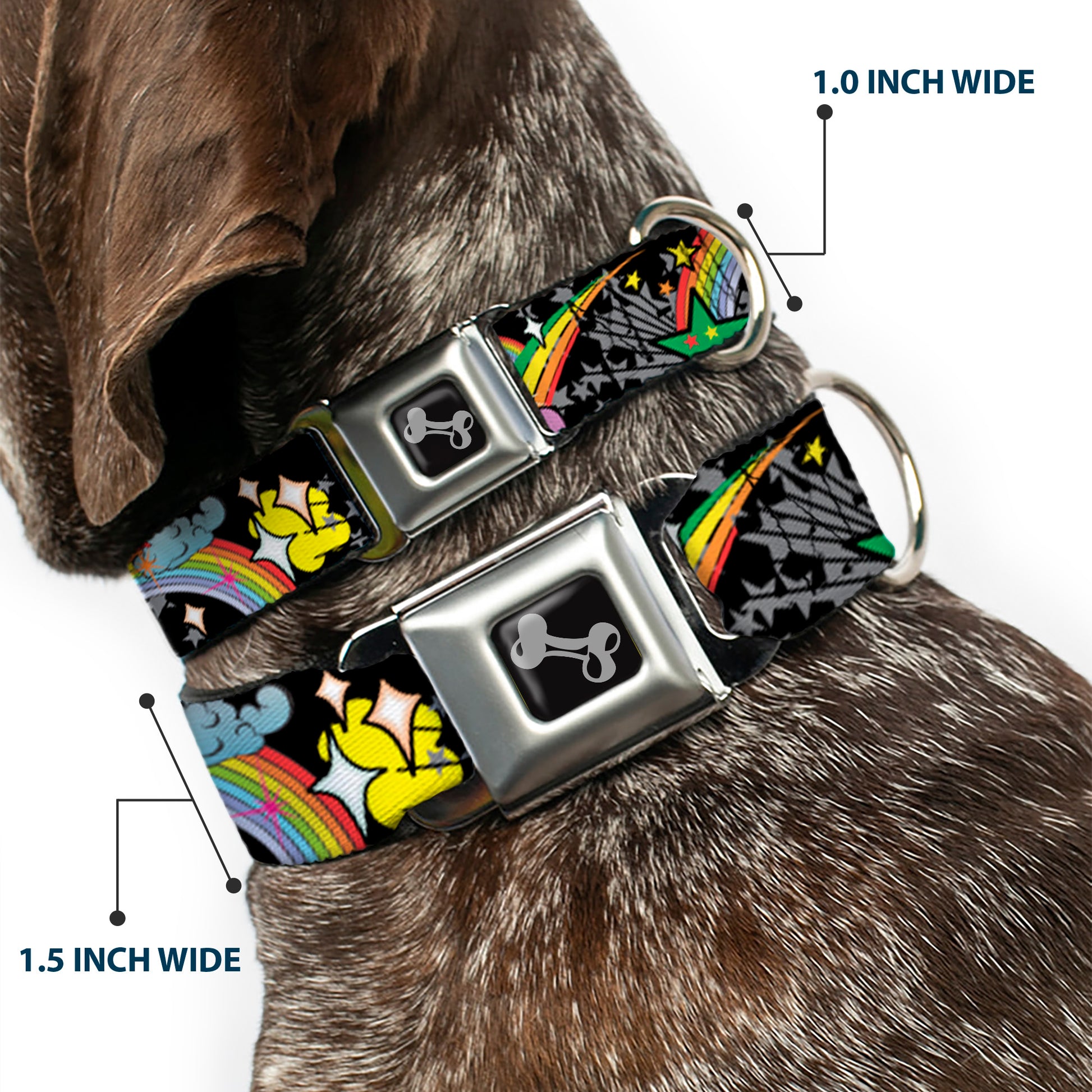 Dog Bone Seatbelt Buckle Collar - Rainbow Cloud Stars Black Seatbelt Buckle Collars Buckle-Down