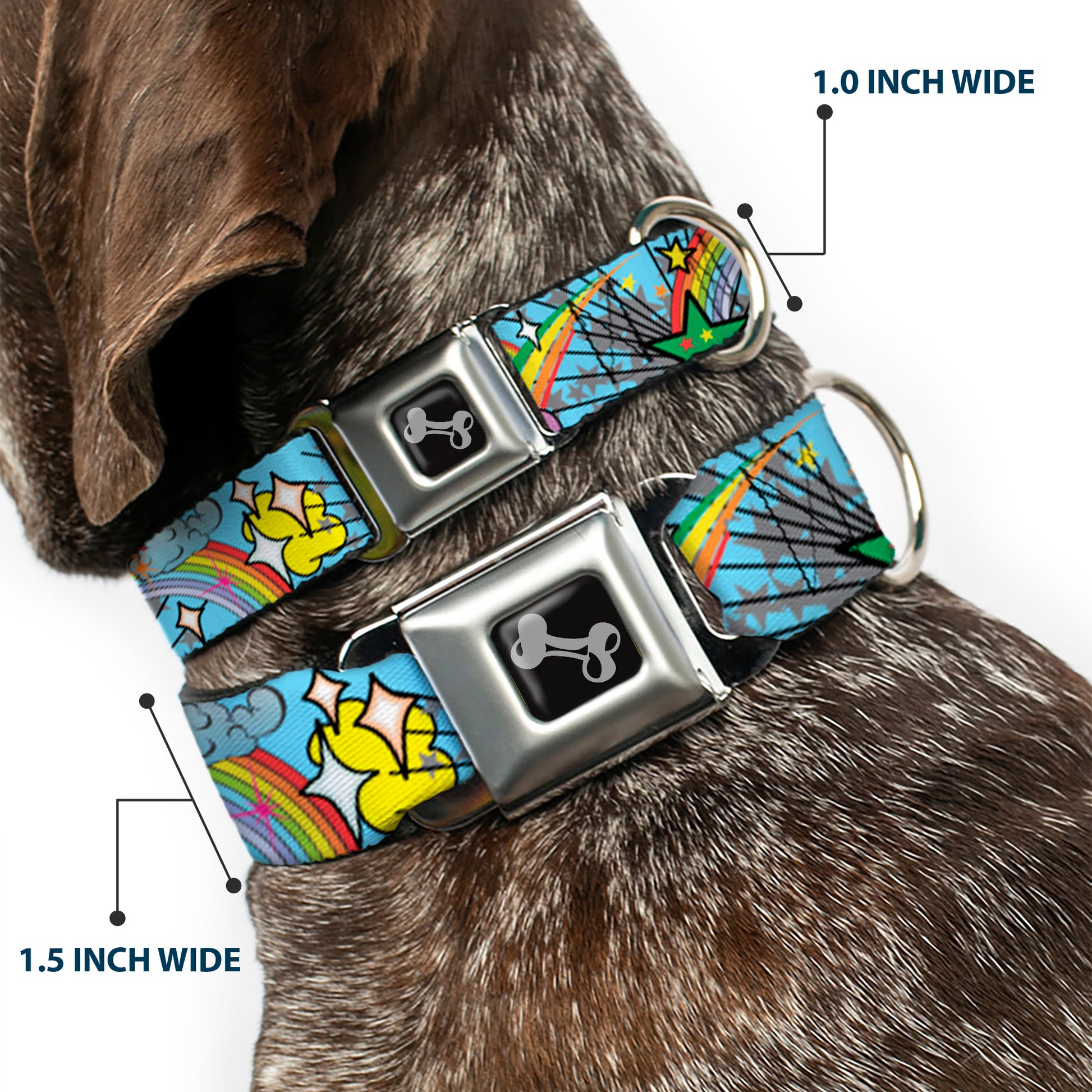 Dog Bone Seatbelt Buckle Collar - Rainbow Cloud Stars Baby Blue Seatbelt Buckle Collars Buckle-Down
