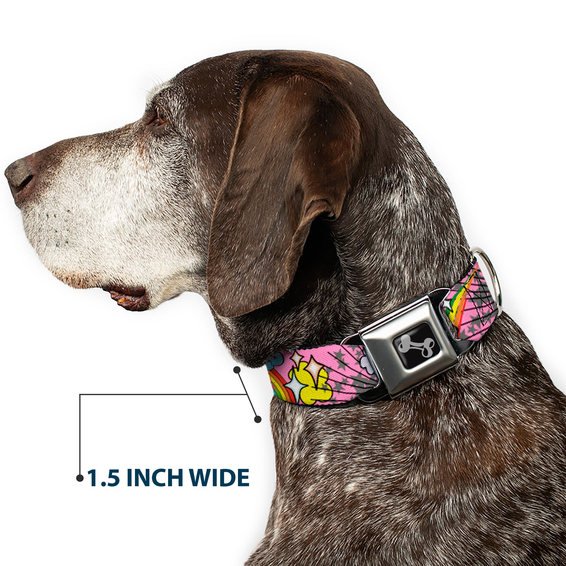 Dog Bone Seatbelt Buckle Collar - Rainbow Cloud Stars Pink Seatbelt Buckle Collars Buckle-Down