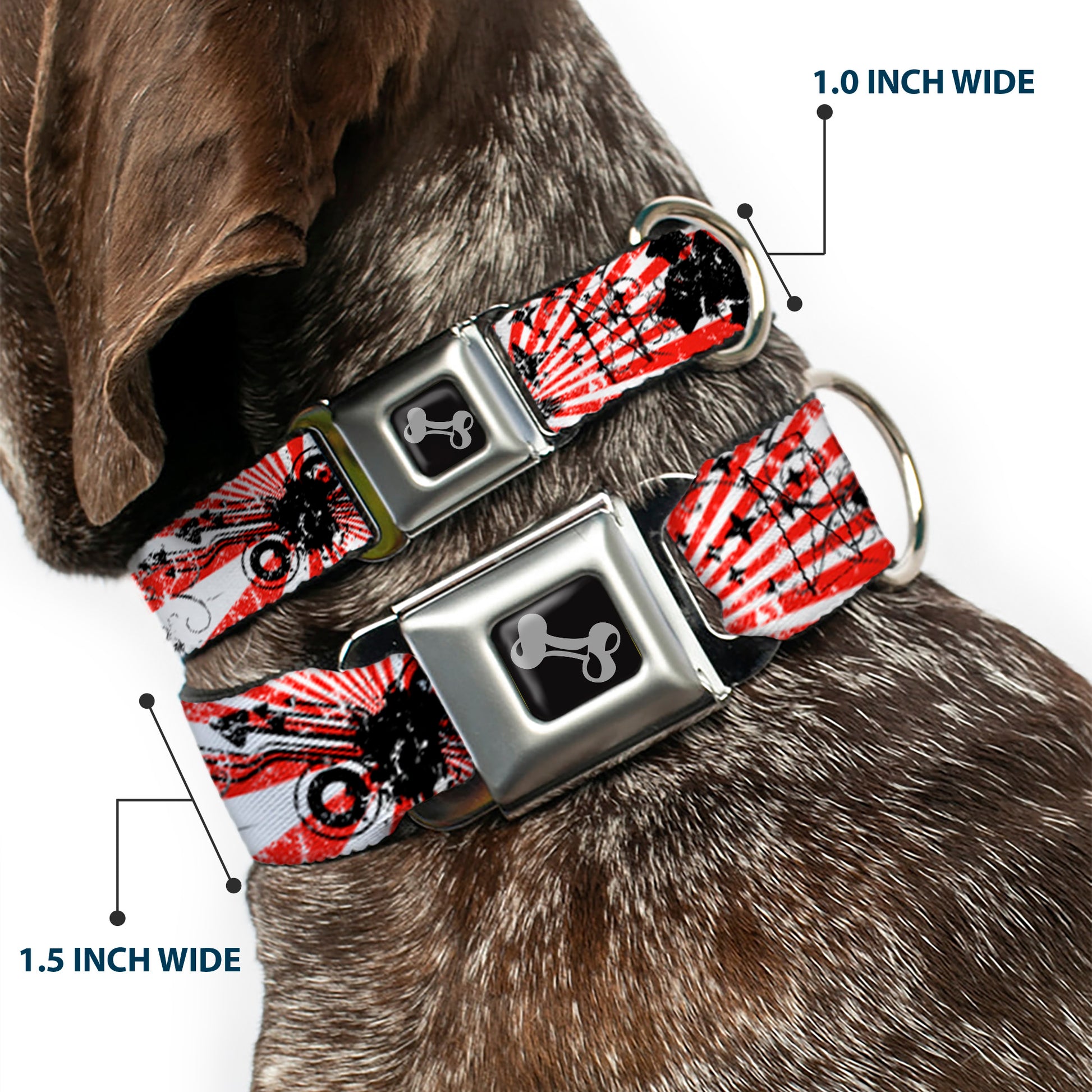 Dog Bone Seatbelt Buckle Collar - Rising Sun White/Red Seatbelt Buckle Collars Buckle-Down