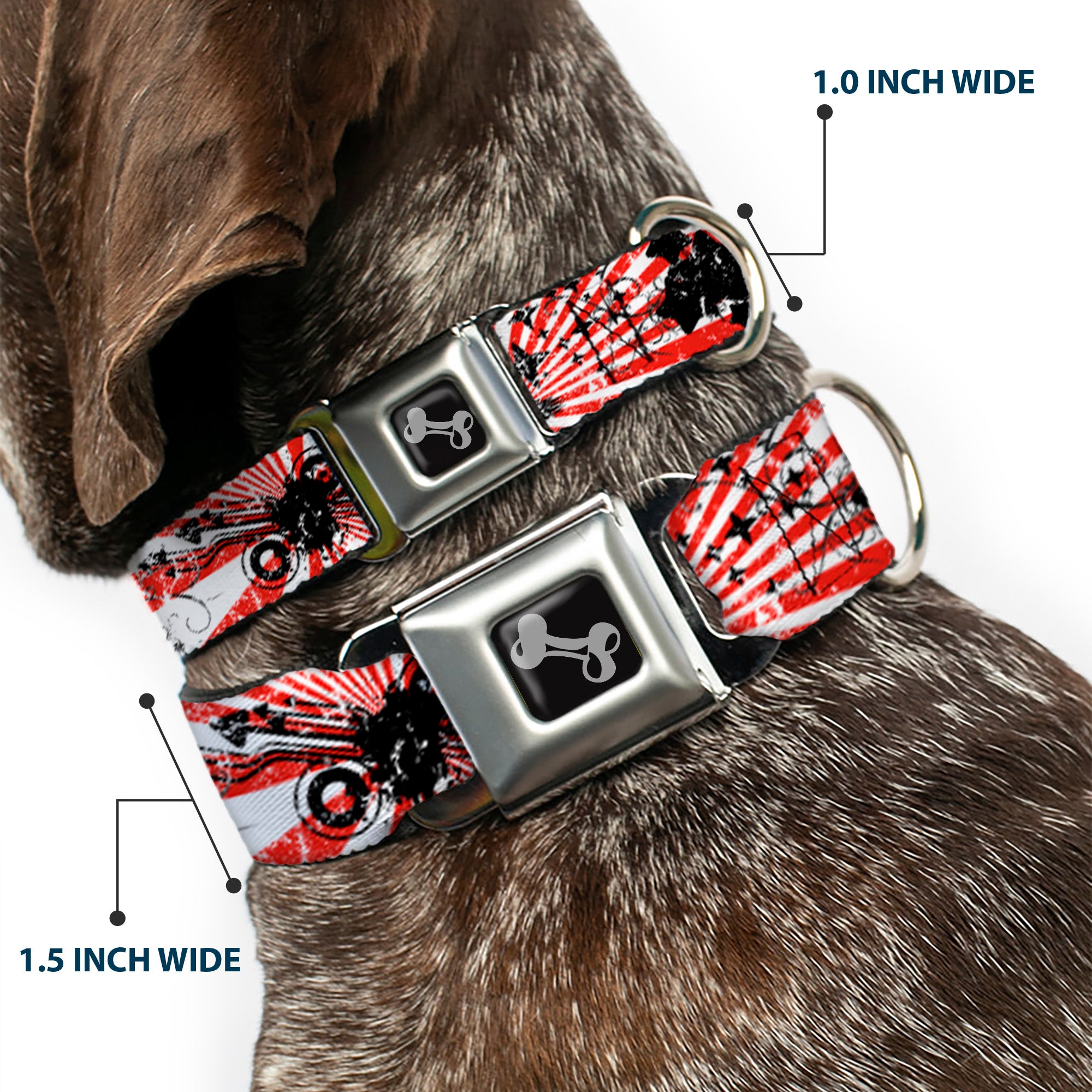 Dog Bone Seatbelt Buckle Collar - Rising Sun White/Red Seatbelt Buckle Collars Buckle-Down