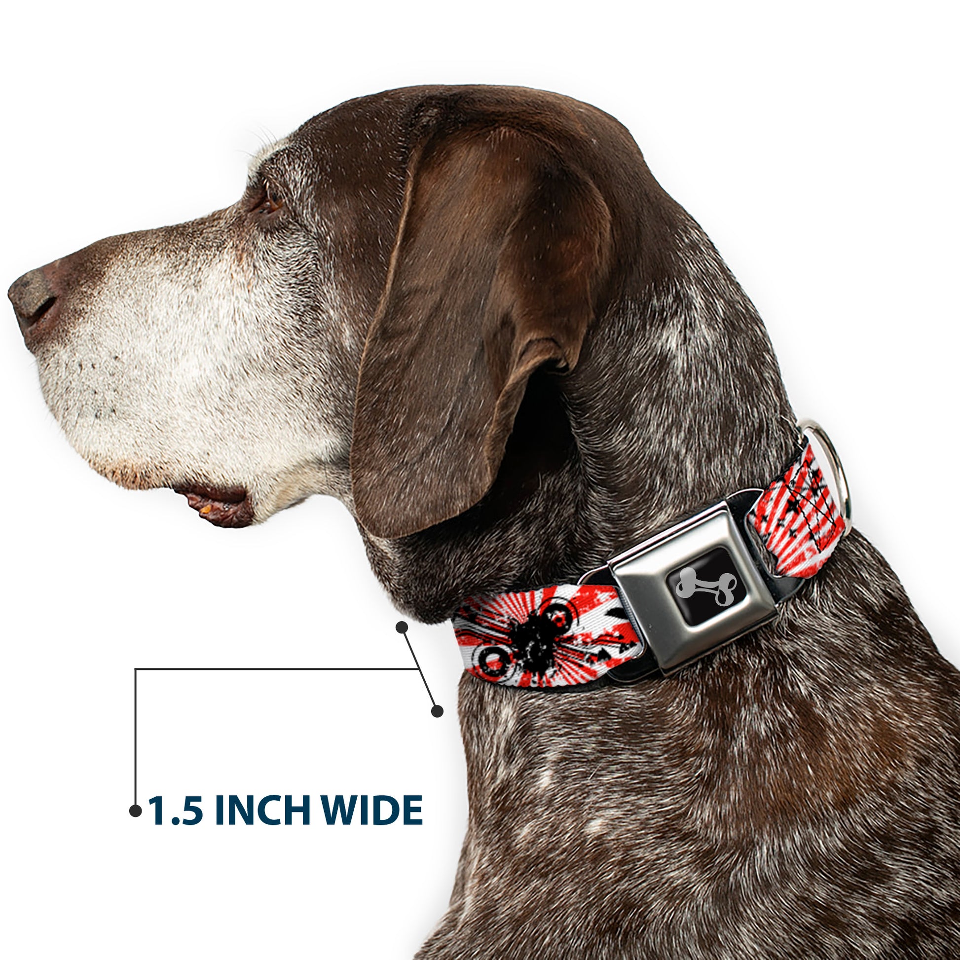 Dog Bone Seatbelt Buckle Collar - Rising Sun White/Red Seatbelt Buckle Collars Buckle-Down