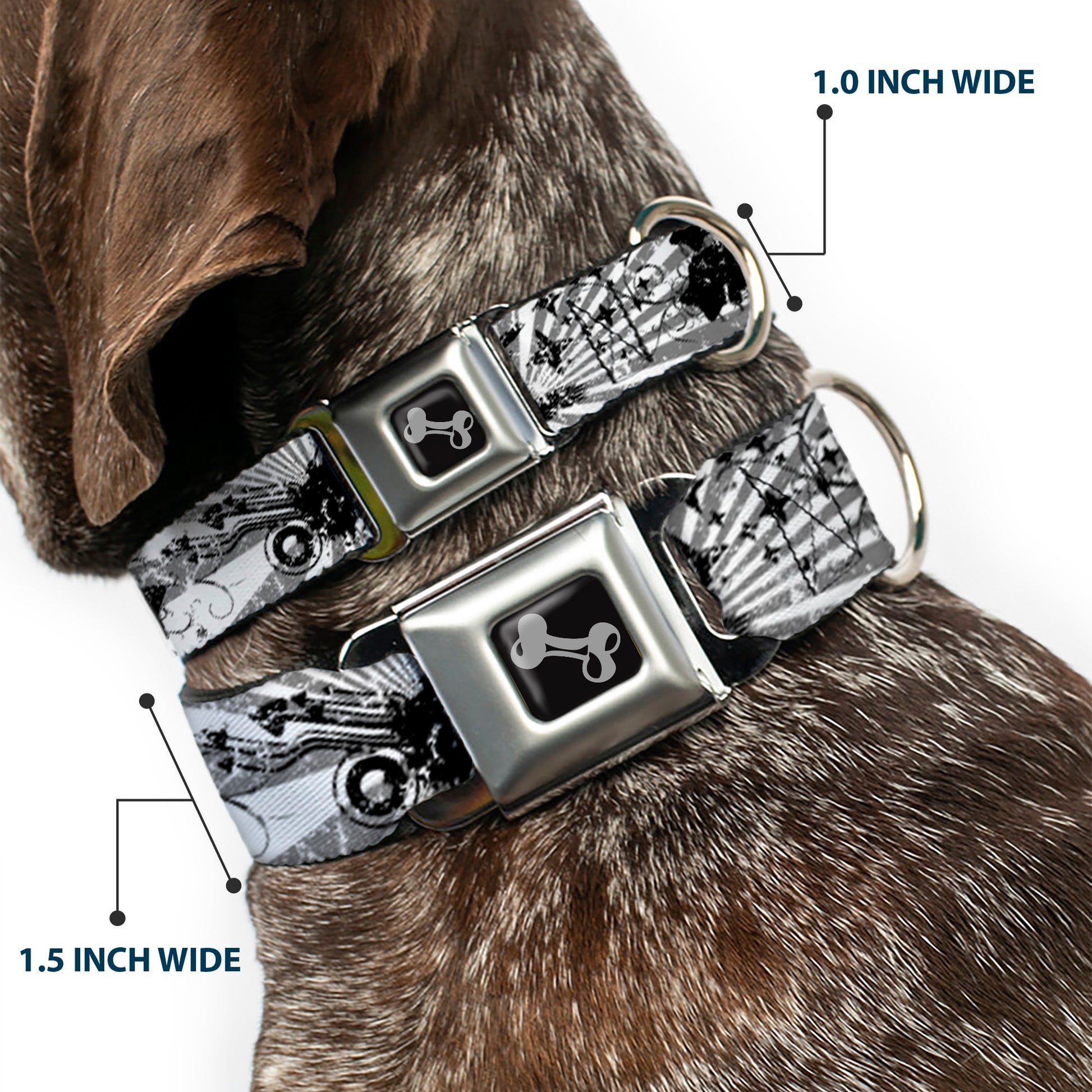 Dog Bone Seatbelt Buckle Collar - Rising Sun White/Gray Seatbelt Buckle Collars Buckle-Down