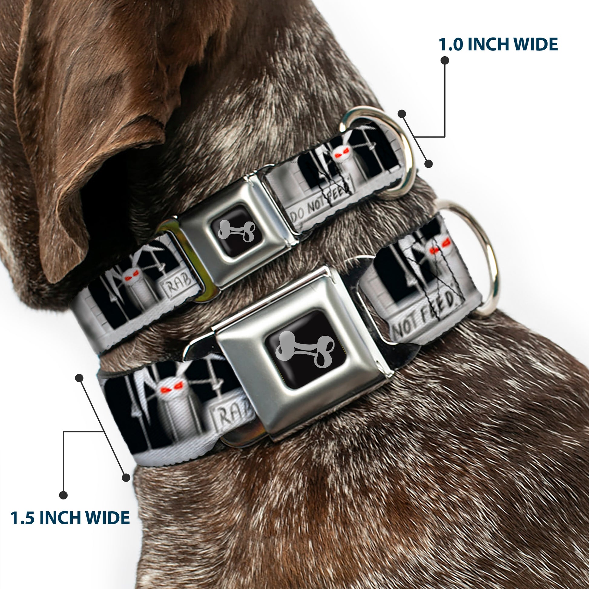 Dog Bone Seatbelt Buckle Collar - Rabid Bunny Seatbelt Buckle Collars Buckle-Down