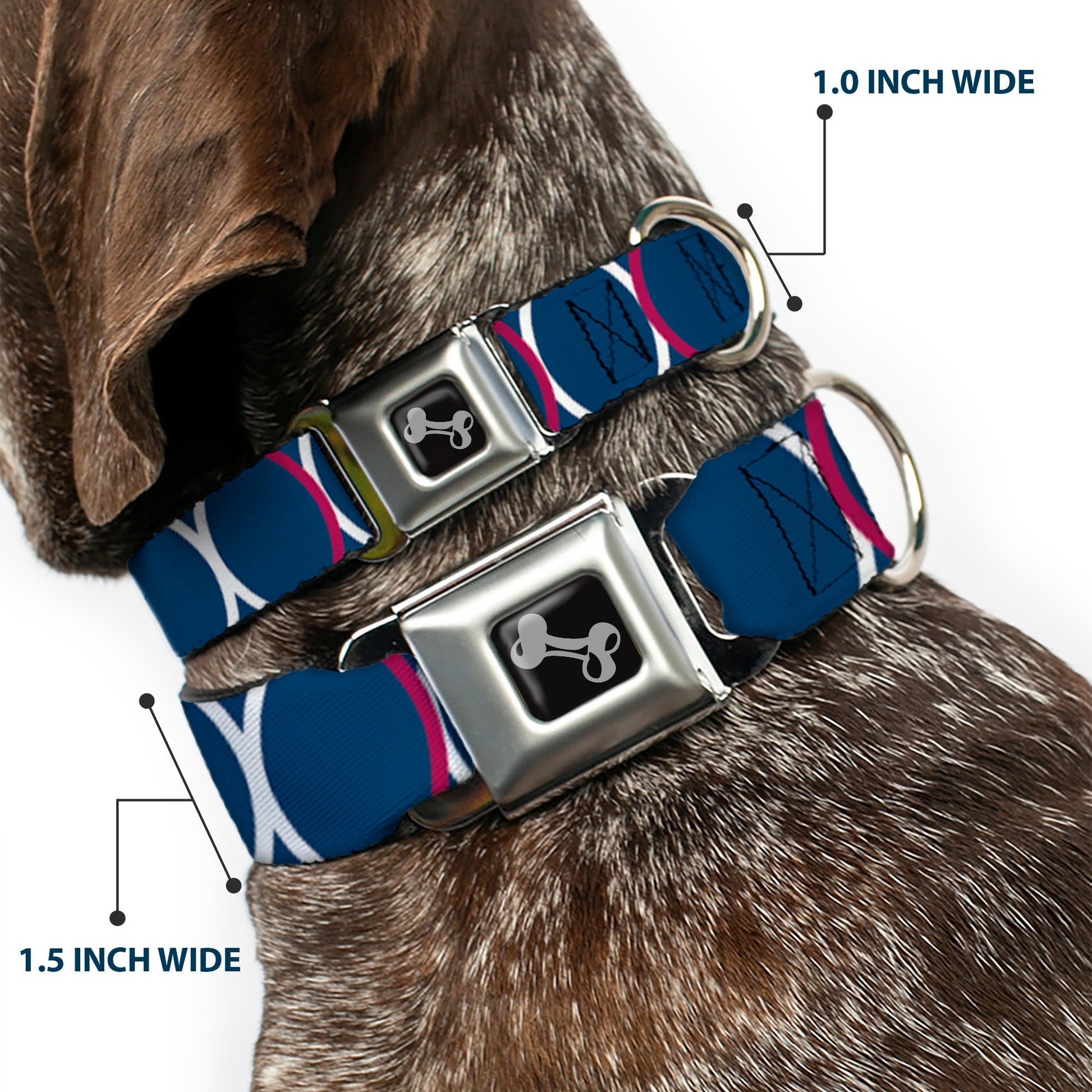 Dog Bone Seatbelt Buckle Collar - Rings Turquoise/White/Fuchsia Seatbelt Buckle Collars Buckle-Down