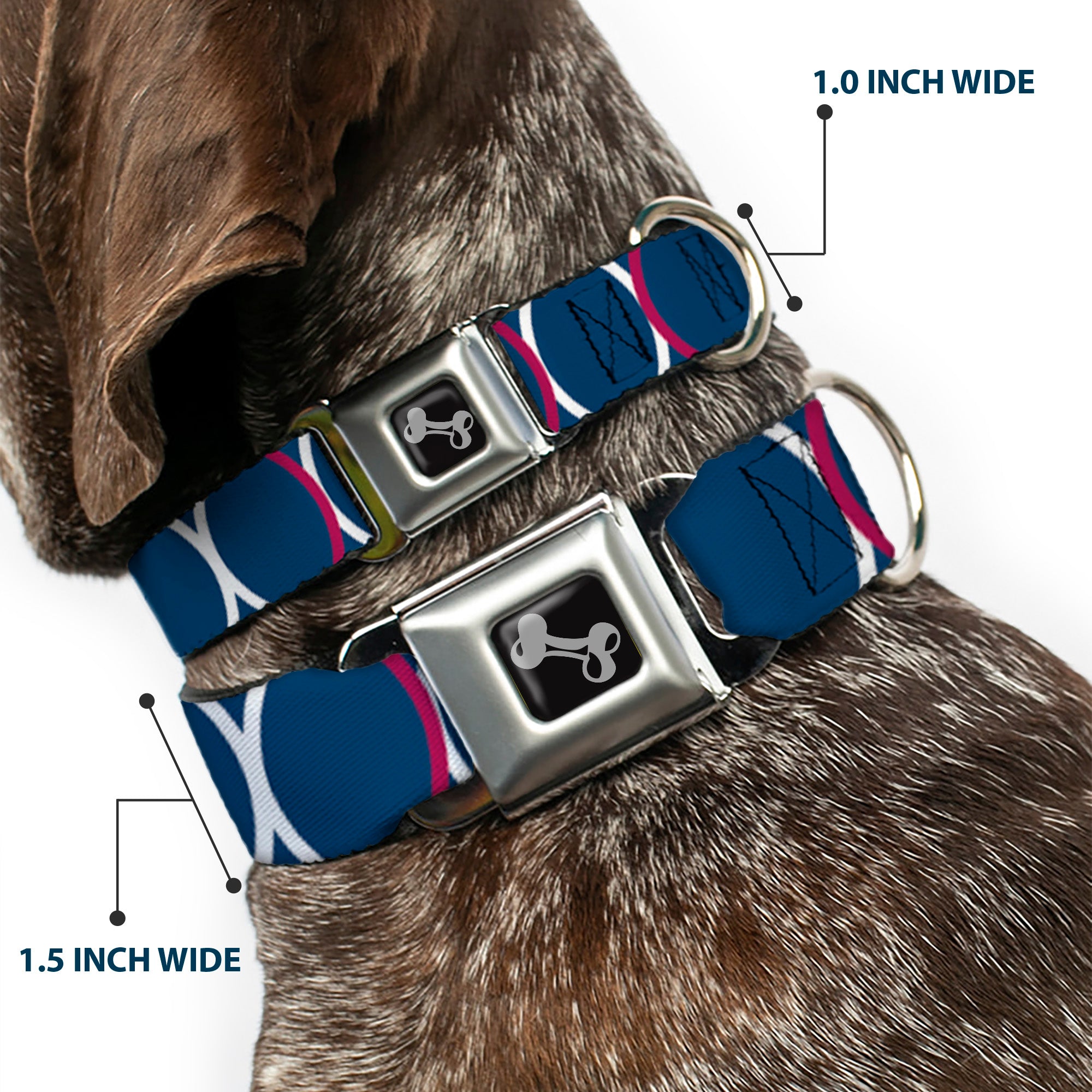 Dog Bone Seatbelt Buckle Collar - Rings Turquoise/White/Fuchsia Seatbelt Buckle Collars Buckle-Down