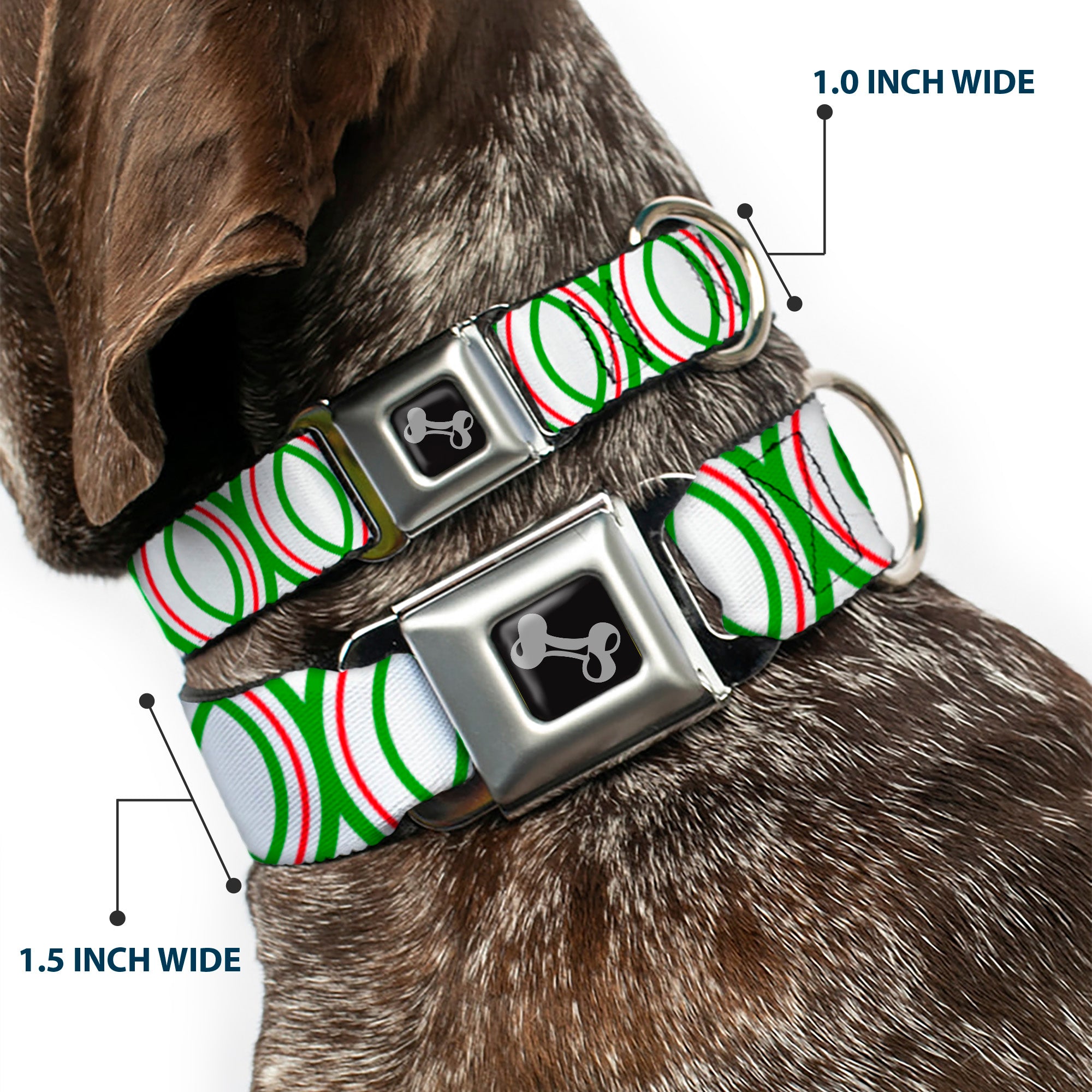 Dog Bone Seatbelt Buckle Collar - Rings White/Green/Red Seatbelt Buckle Collars Buckle-Down