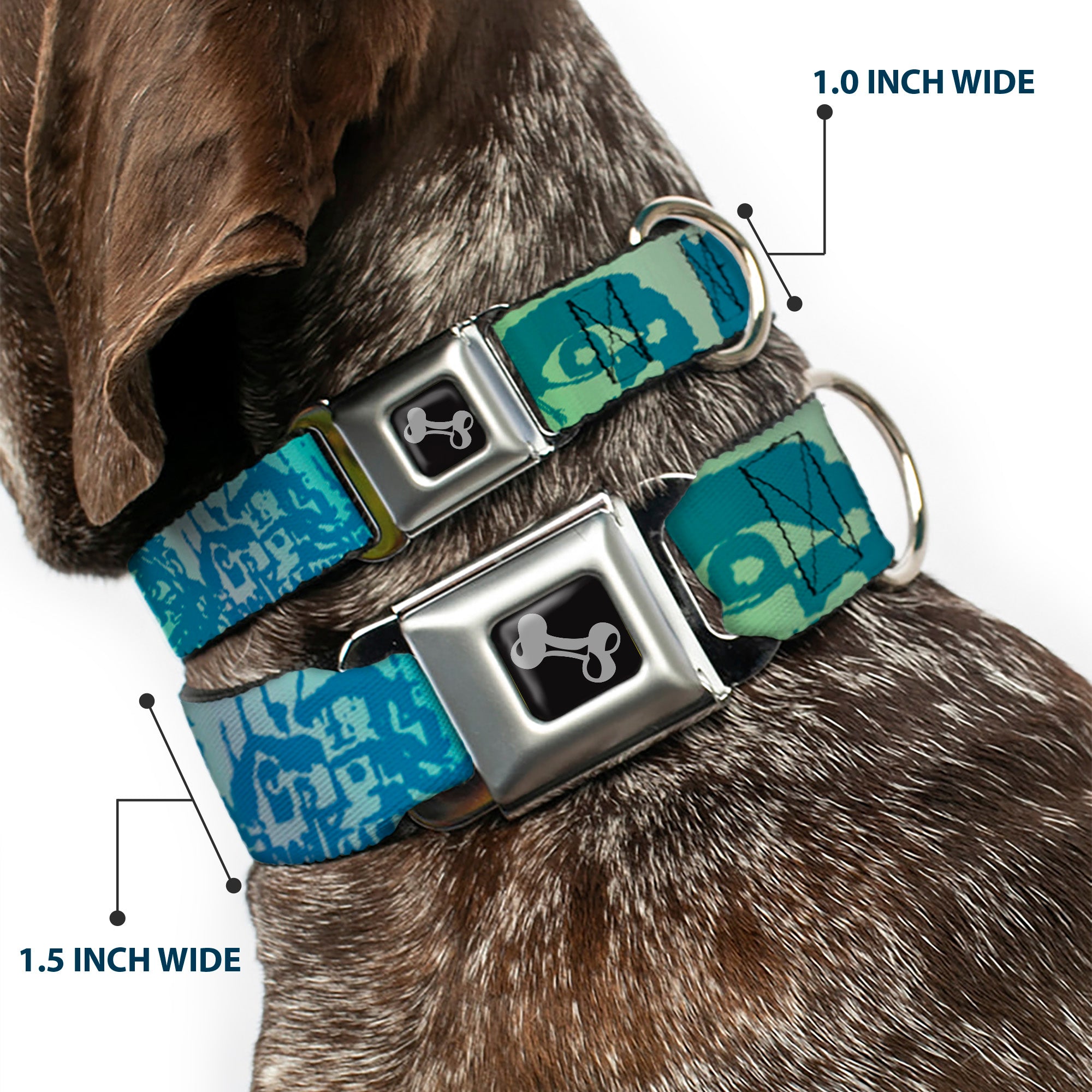 Dog Bone Seatbelt Buckle Collar - Retro Monster Aqua Seatbelt Buckle Collars Buckle-Down